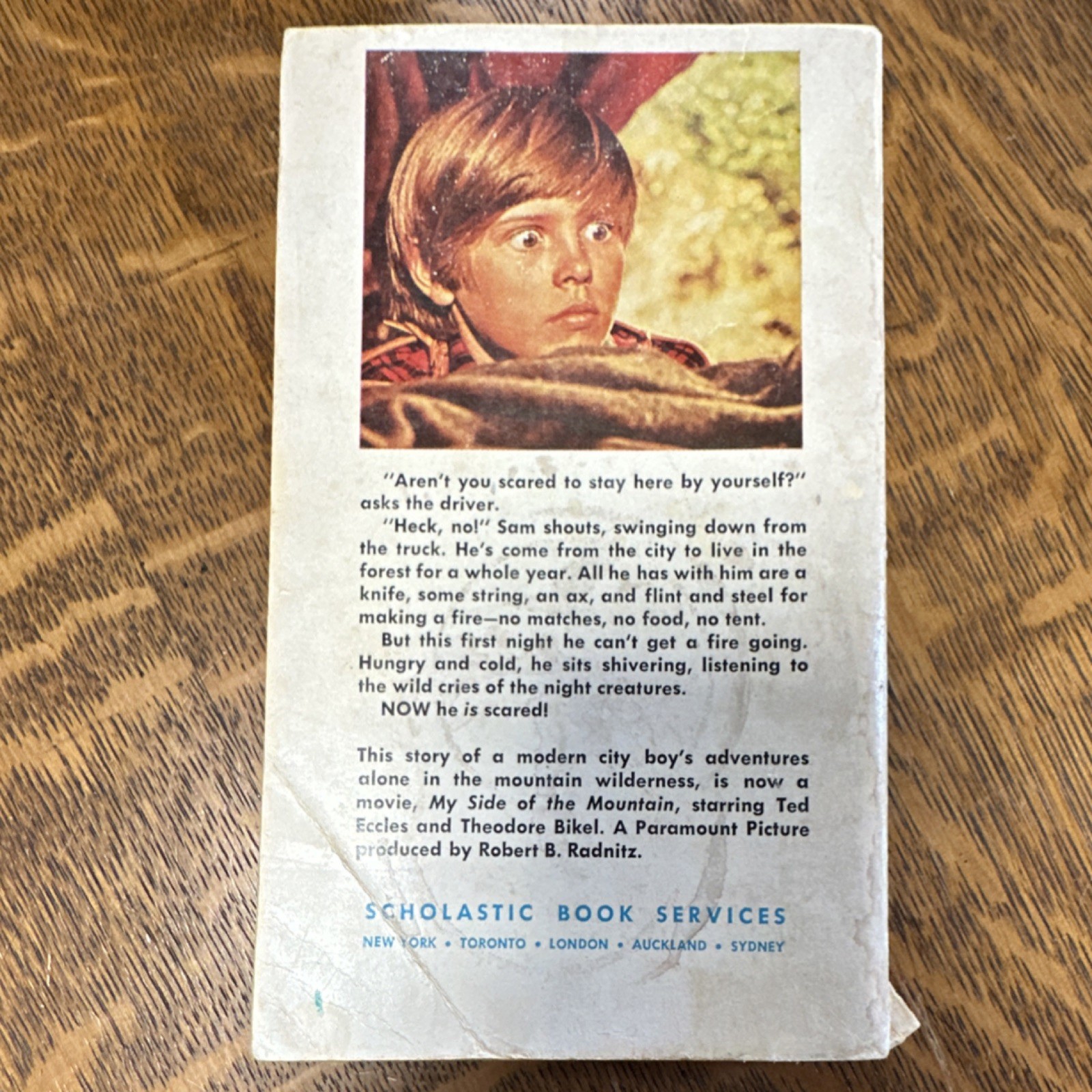 My Side of the Mountain Jean George Paperback Scholastic 1969