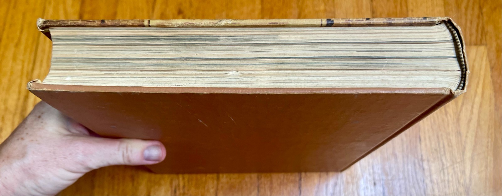 Vintage UCLA Yearbook Southern Campus 1947 Vol. 28
