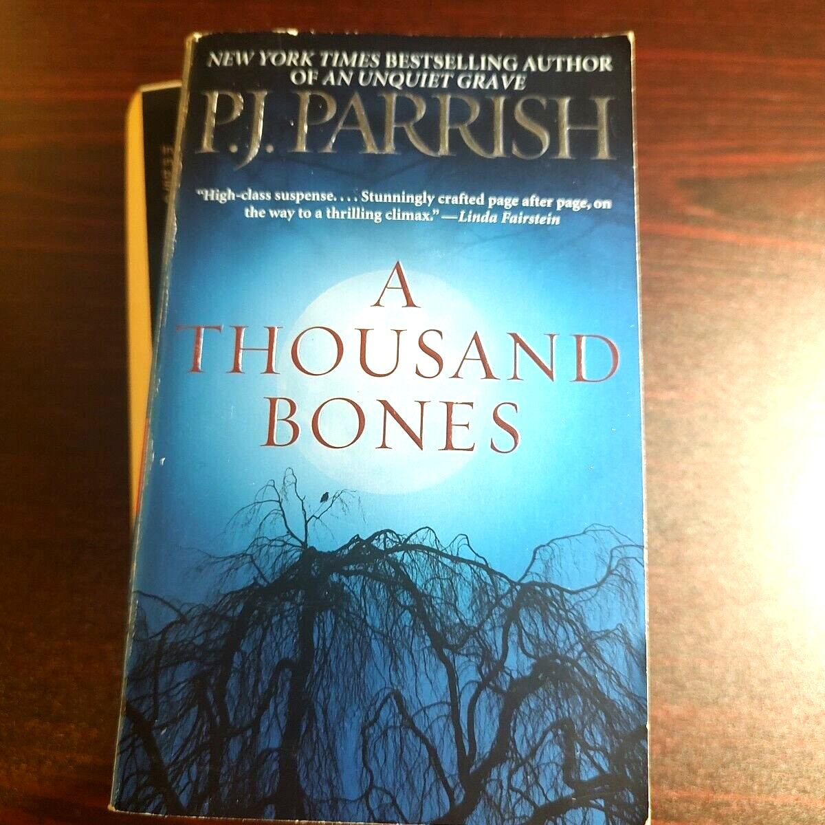 Mystery Thriller Paperback Book P J Parrish Investigation Murder Crime 3x