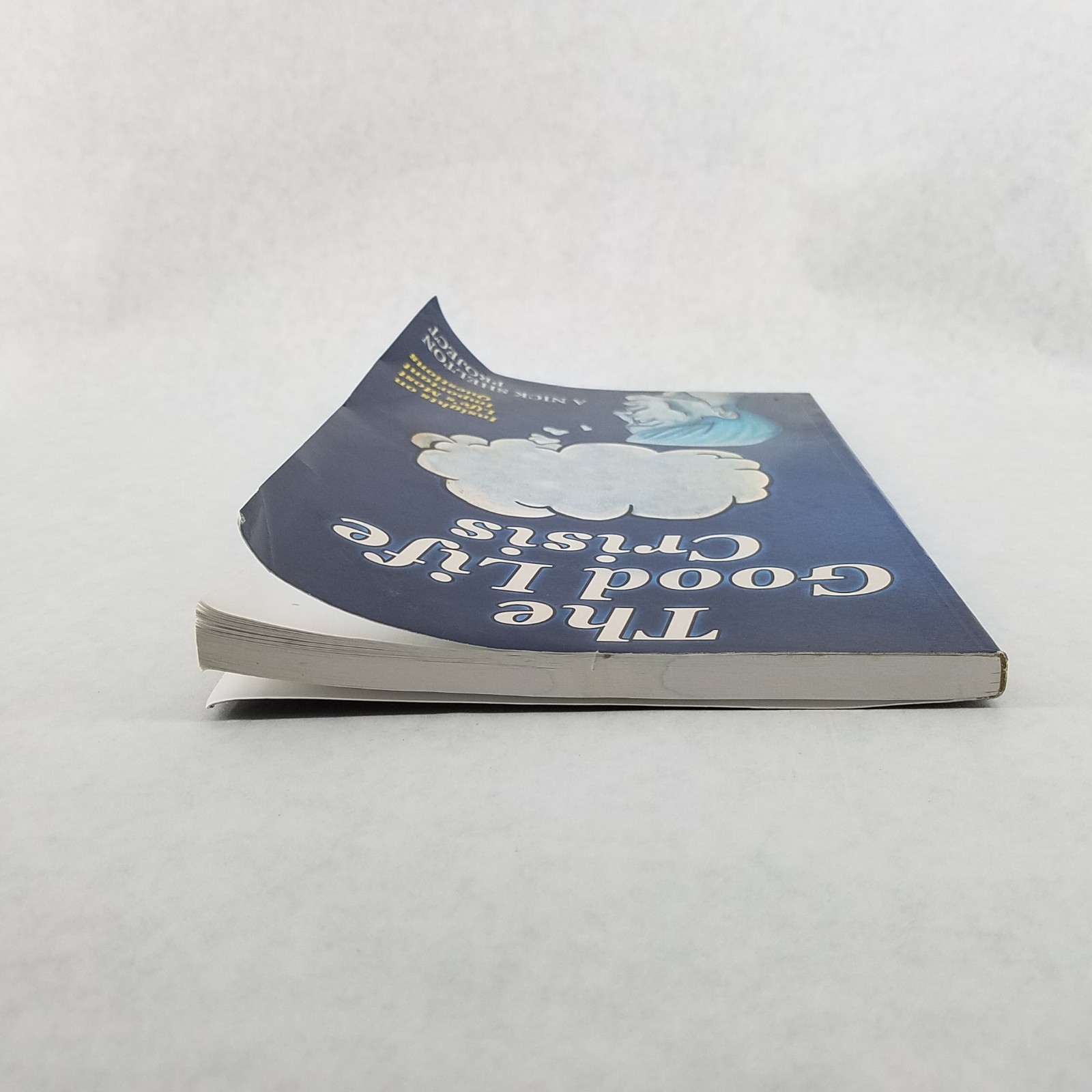 Good Life Crisis – Softcover by Nick Shelton – NO MARKS