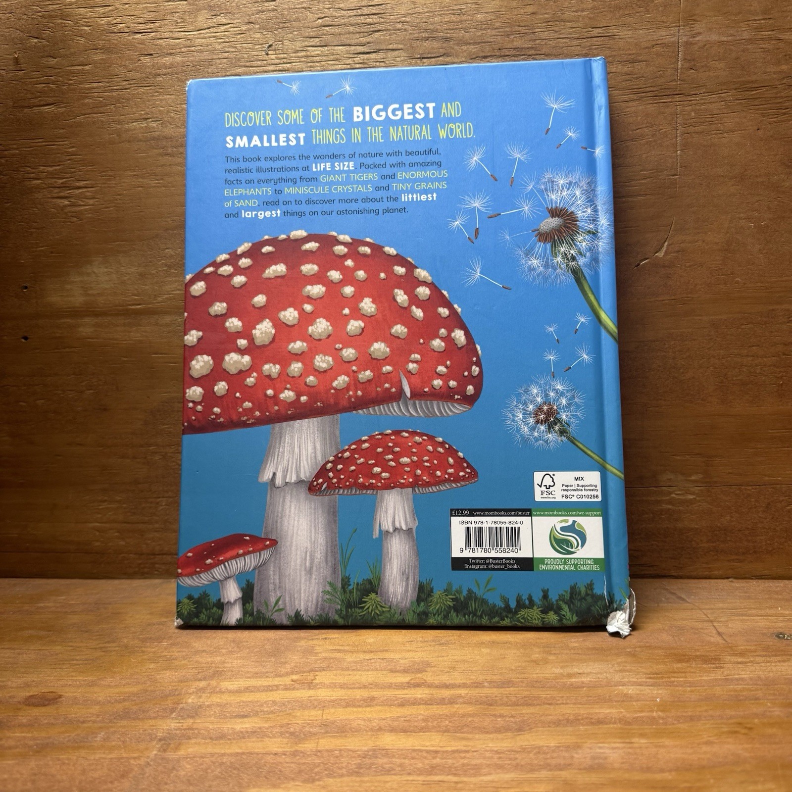 Size Wise: A Fact-Filled Look at Life-Size W… by Bedoyere, Camilla de Hardback