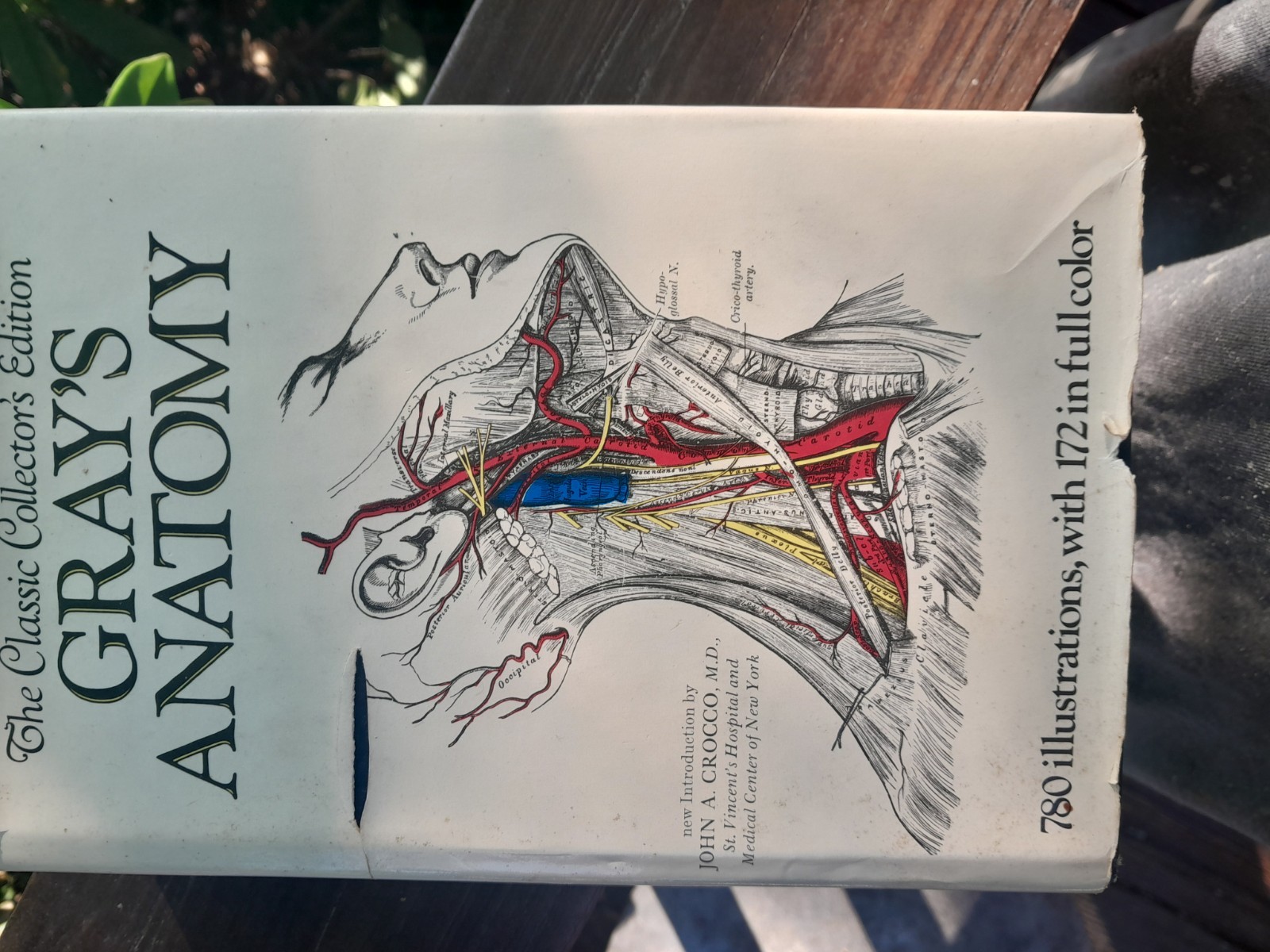 Gray’s Anatomy: The Classic Collector’s Edition~Henry Gray~VINTAGE 1977 HC/DJ
