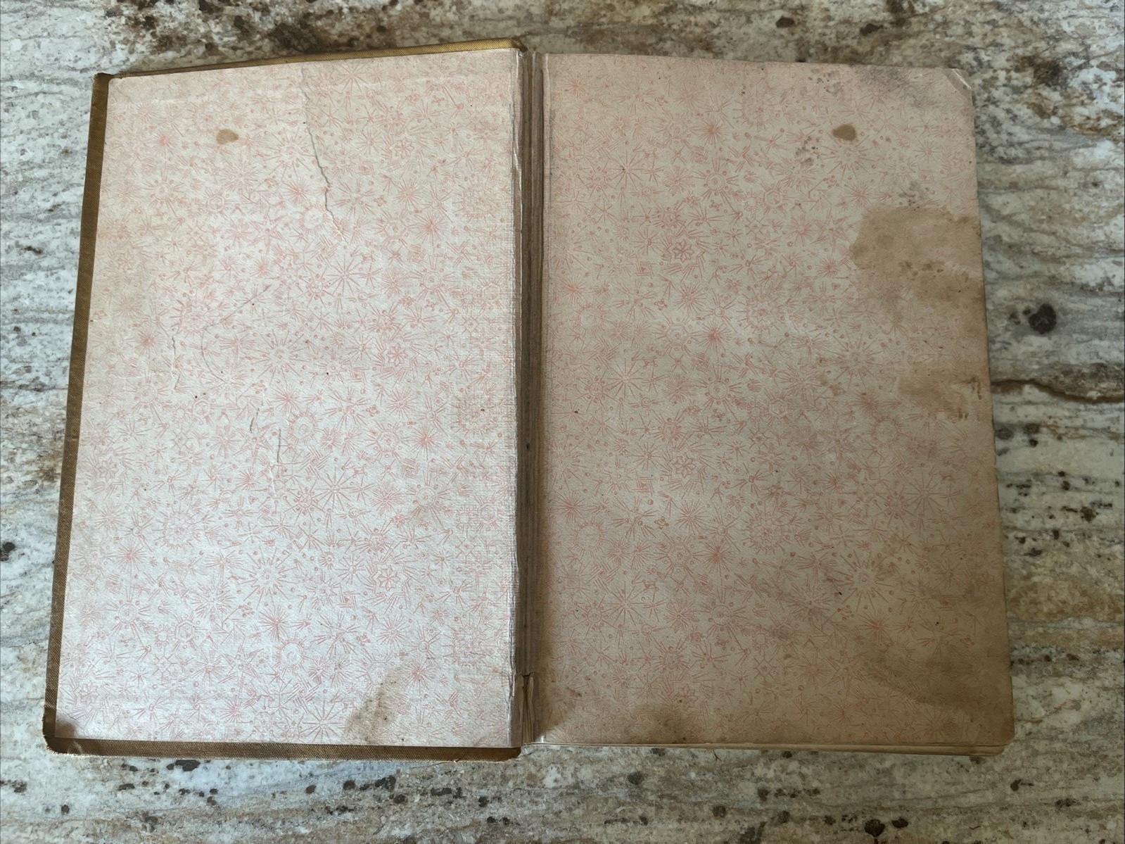 Antique Book Nye & Riley’s Railway Guide 1888 – Edgar Nye & James Whitcomb Riley