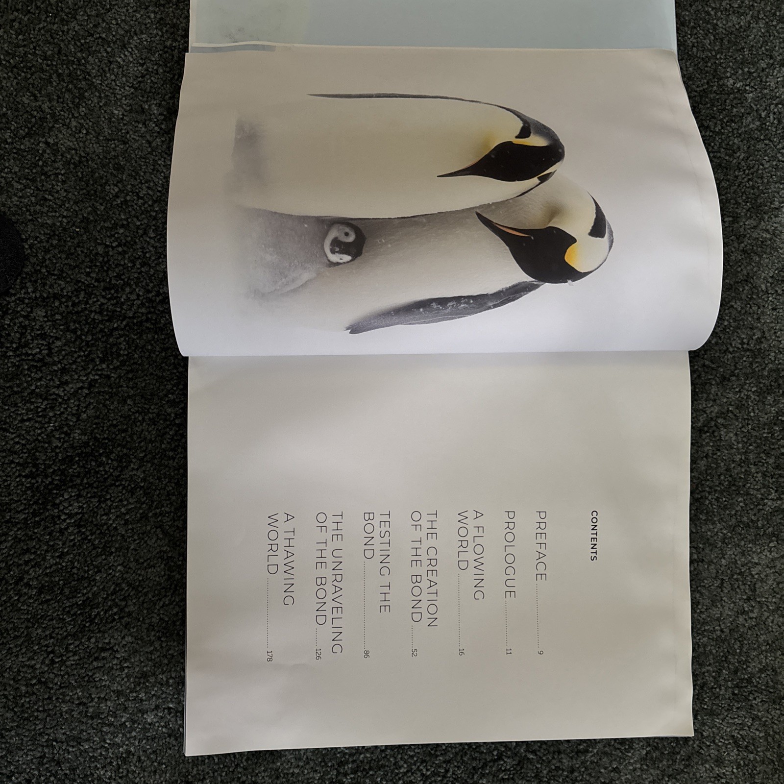 Penguin: A Story of Survival by Stefan Christmann Hardback Book The Fast Free