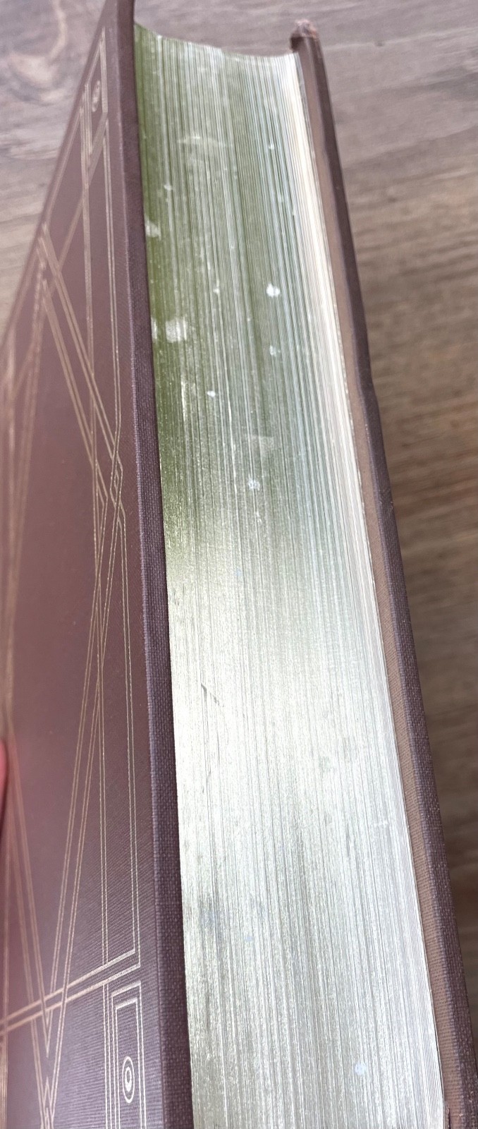James Joyce ULYSSES Special Edition Oxford University Press 1983 – VG