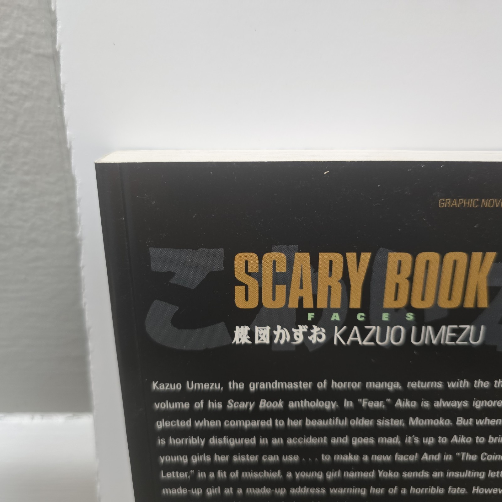 Scary Book Volume 3: Faces by Umezu, Kazuo Paperback / softback Book The Fast