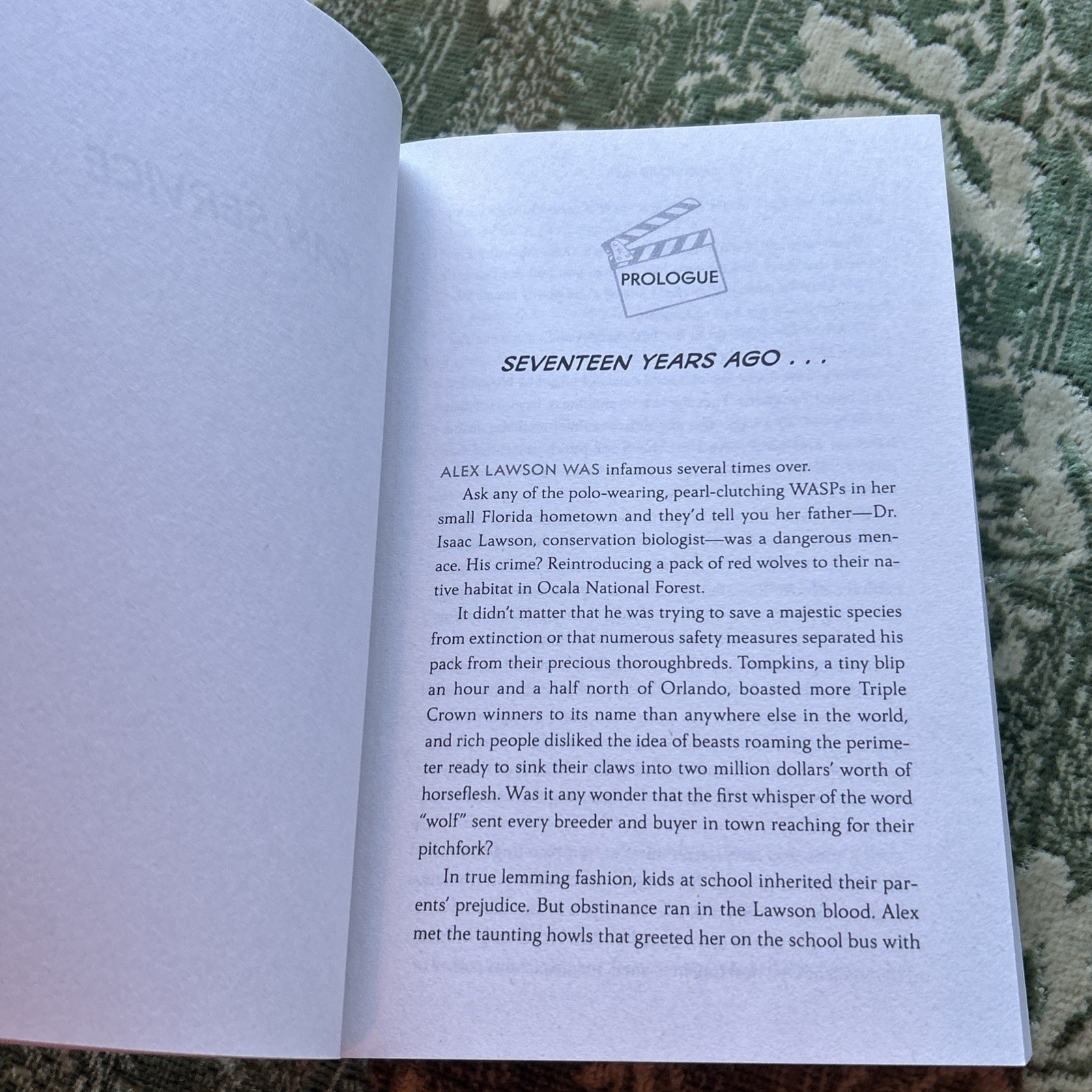Fan Service by Rosie Danan: Like New Trade Paperback