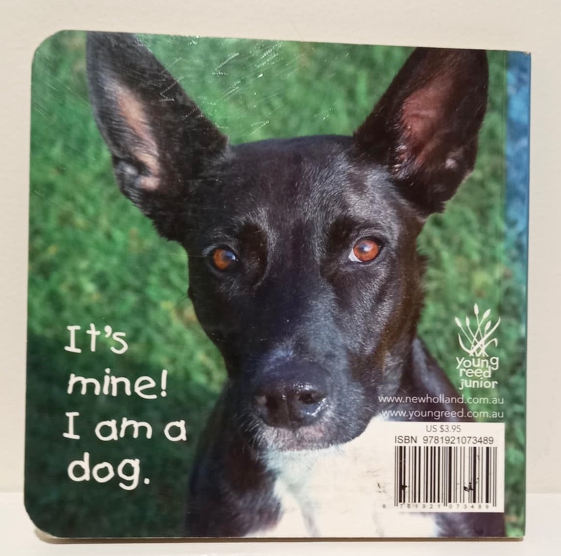Whose Nose is this? – Board Book | Good Condition | Free Postage