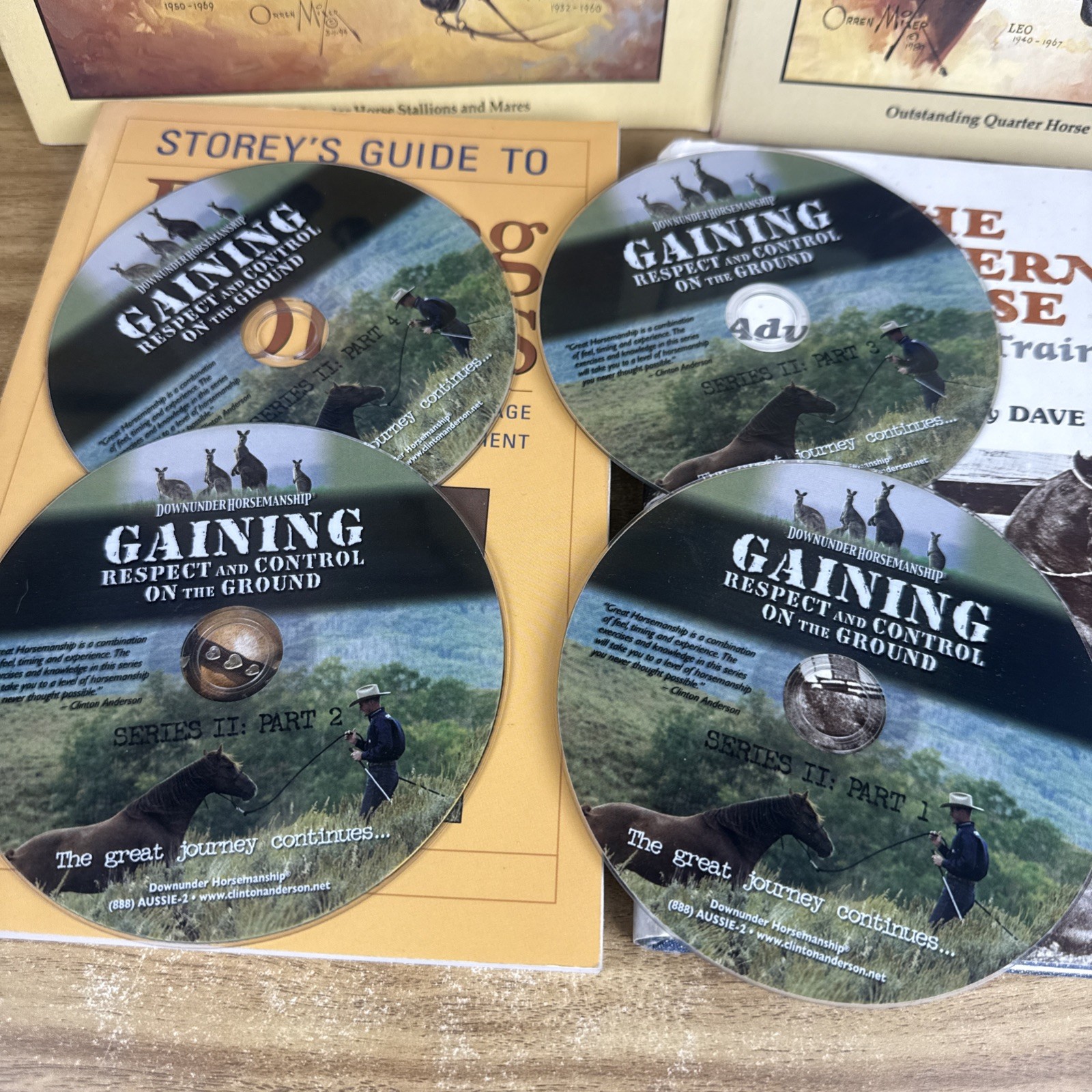 Lot HORSE EQUINE Literature Equestrian Books And Dvds