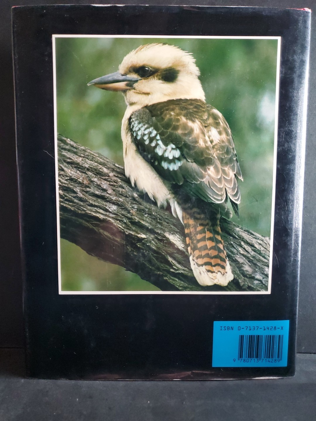 The Handbook of Aviculture Frank Woolham 1987 Bird Keeping Hardcover