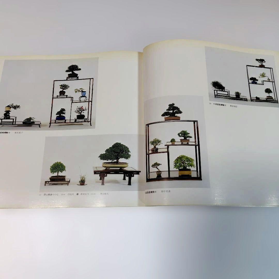 Kazuki Exhibition Bonsai Catalog 1980 84 Pots Japan Vintage 9.5×9.9in