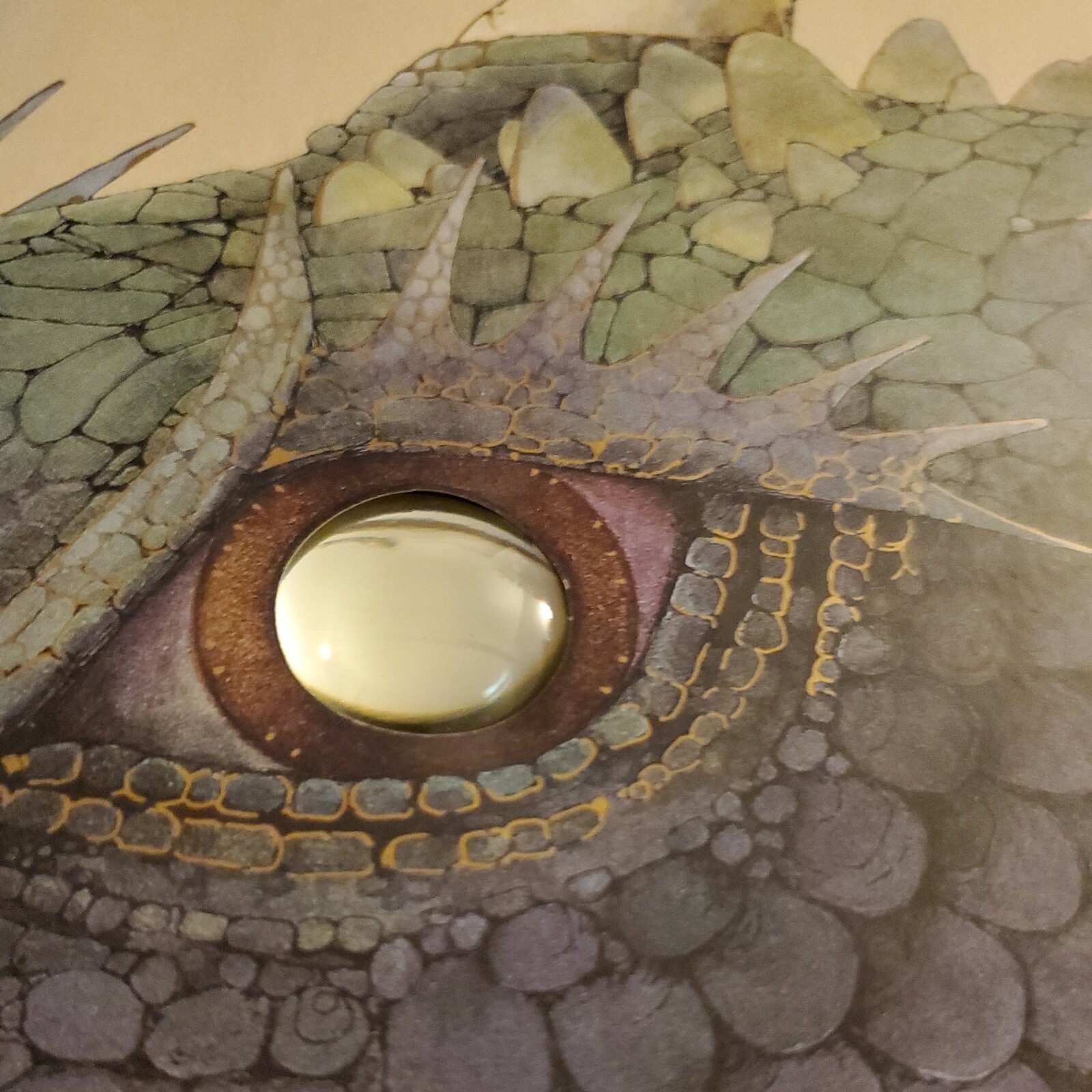 Ologies Ser.: Dragonology : The Complete Book of Dragons by Ernest Drake (2003)