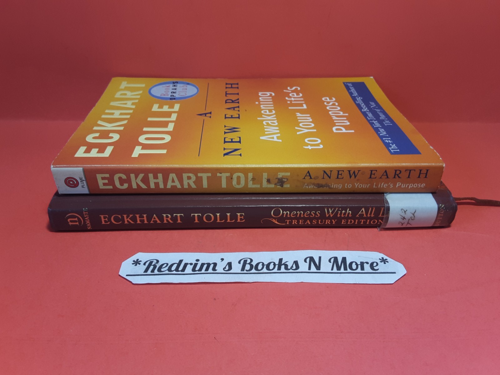 A New Earth Eckhart Tolle 2006 w/Selections Book Bundle Inspirational