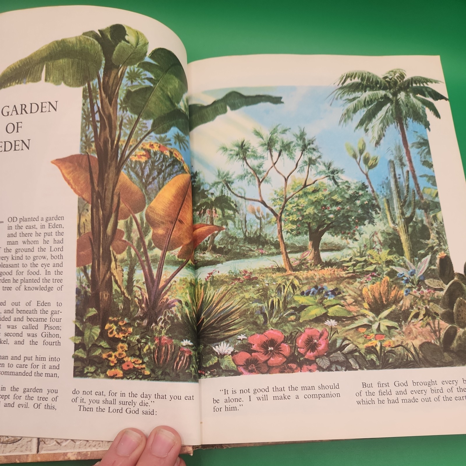 Vintage 1965 The Children’s Bible Book Hardcover God Religion 510 Pages