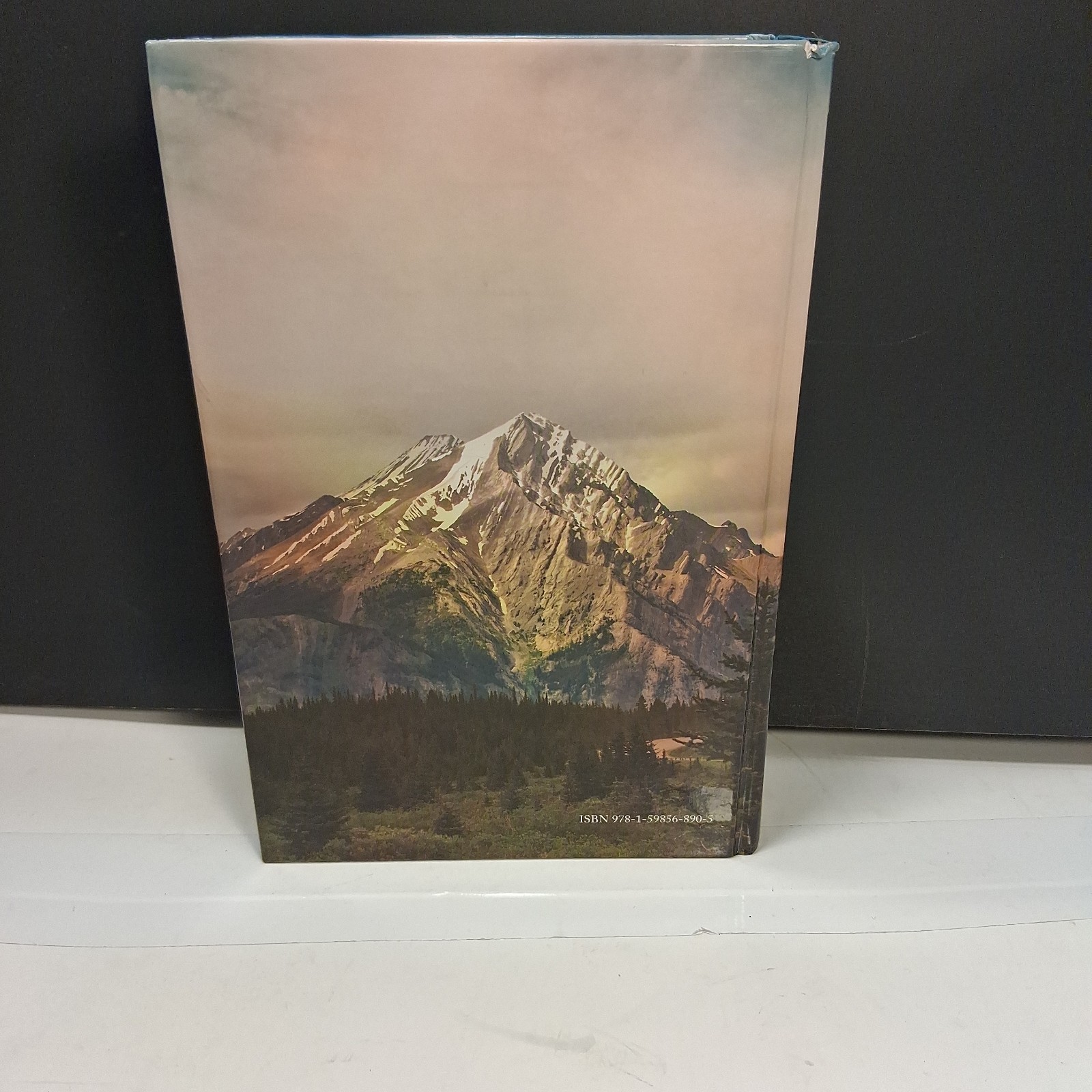 The A. W. Tozer Bible: King James Version by Tozer, A W, With Bible Tabs EUC