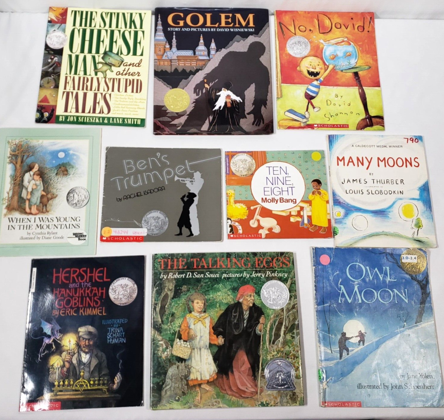Kids Caldecott Award Picture Books Lot Of 10 Homeschool Classroom Honor Winners