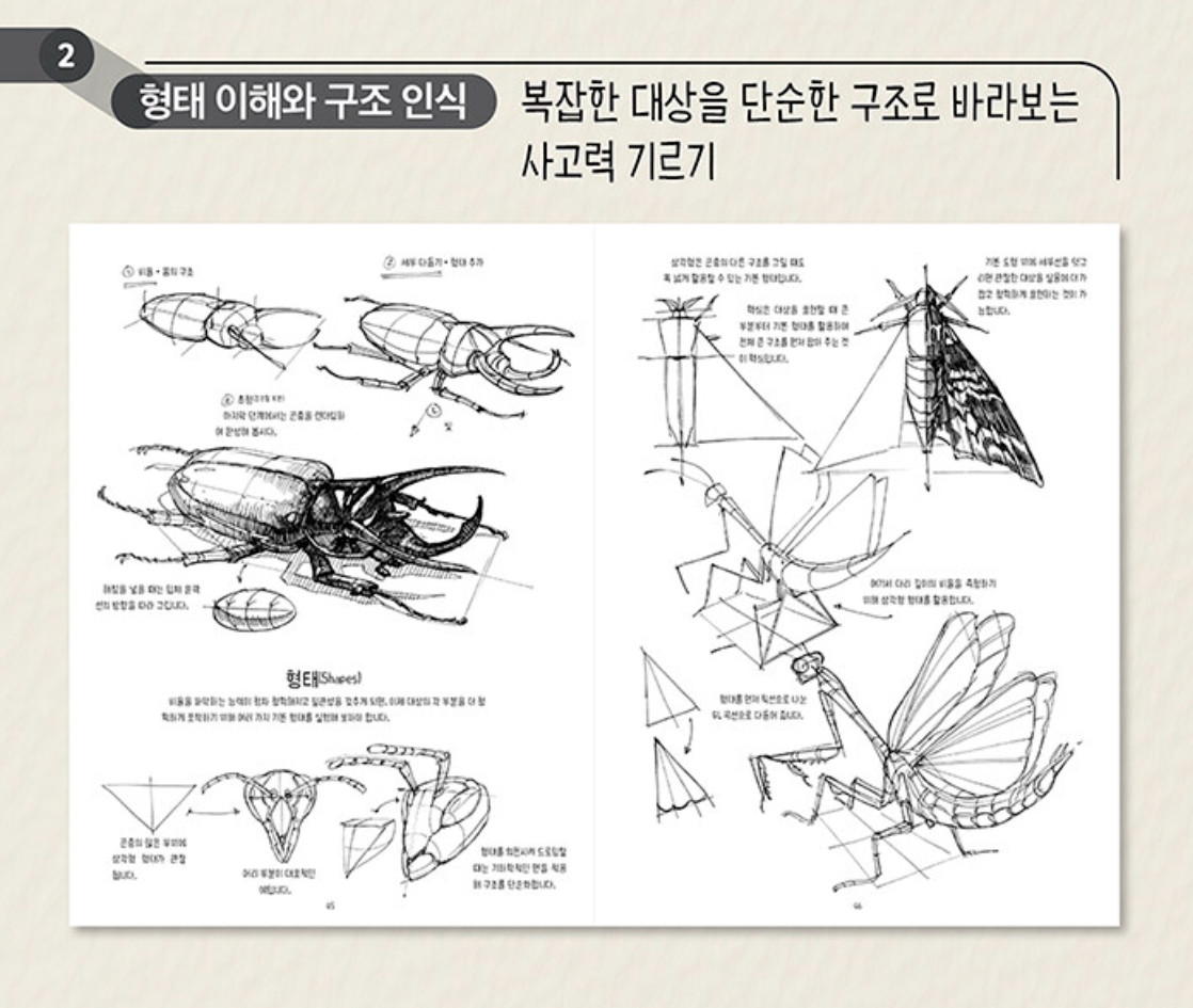 The Dynamic Bible by Peter Han Authentic Drawing Book Korean Edition