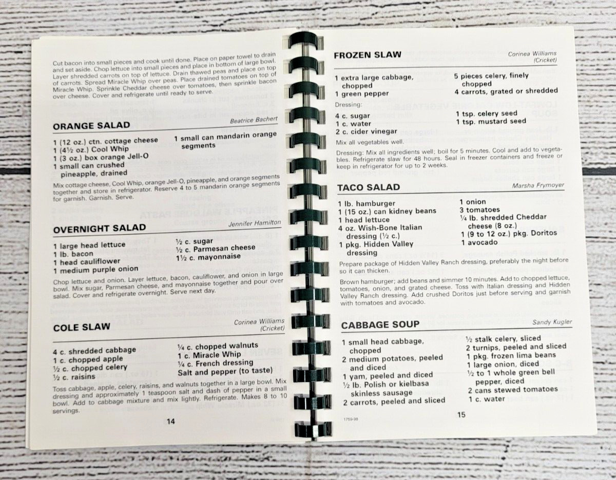 Vintage 1998 Cookbook Germantown Ohio Eagles #2292 Small Town Recipes