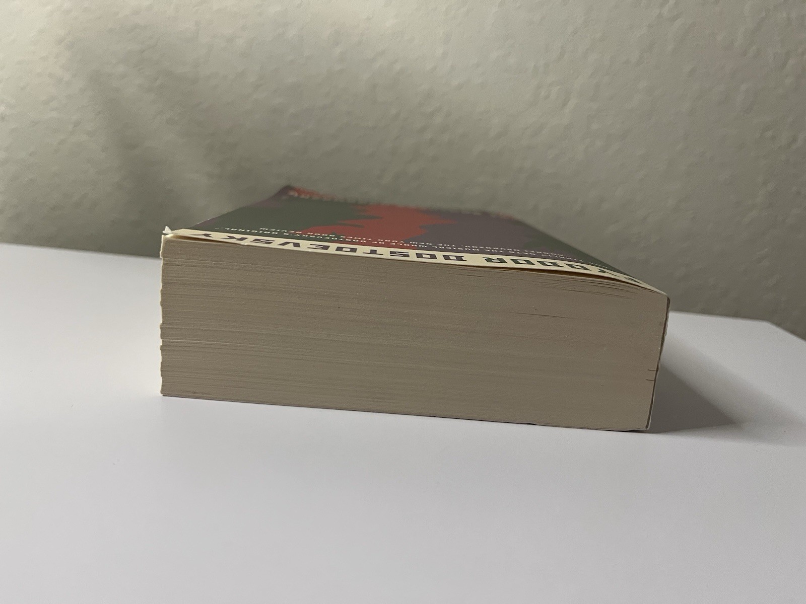 The Brothers Karamazov : Bicentennial Edition by Fyodor Dostoevsky, Paperback