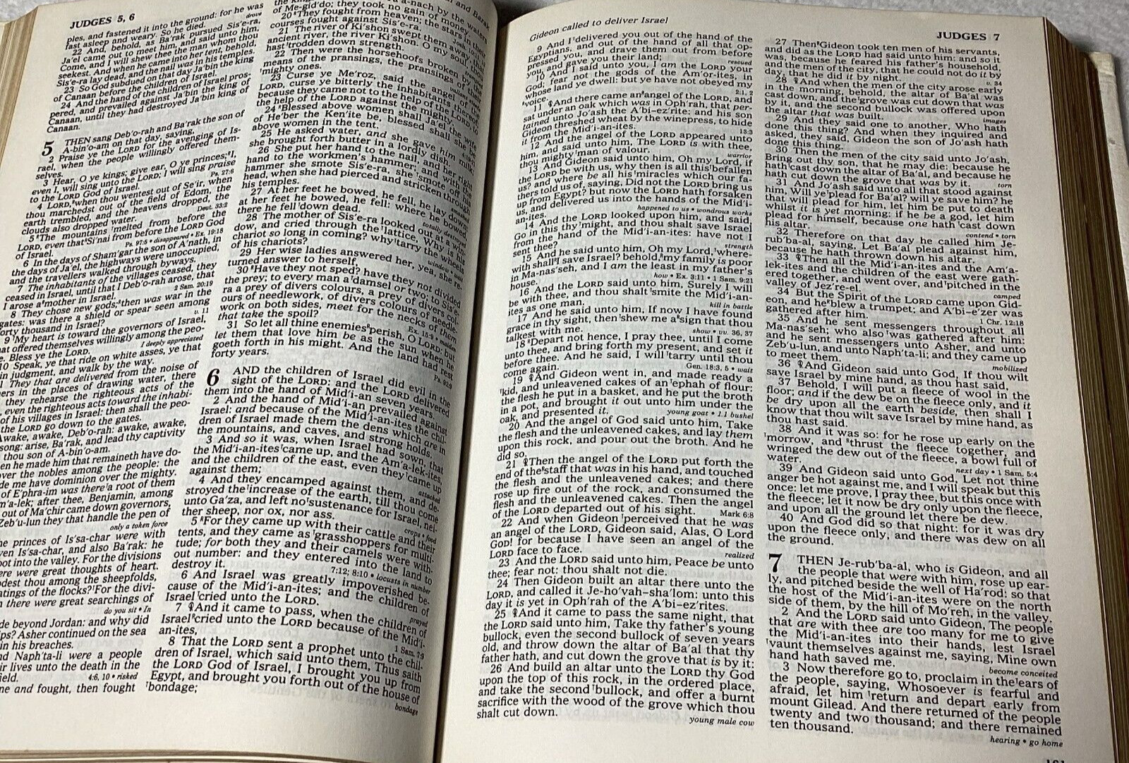 KJV Holy Bible – Red Letter Edition – Regency – (King James Version)