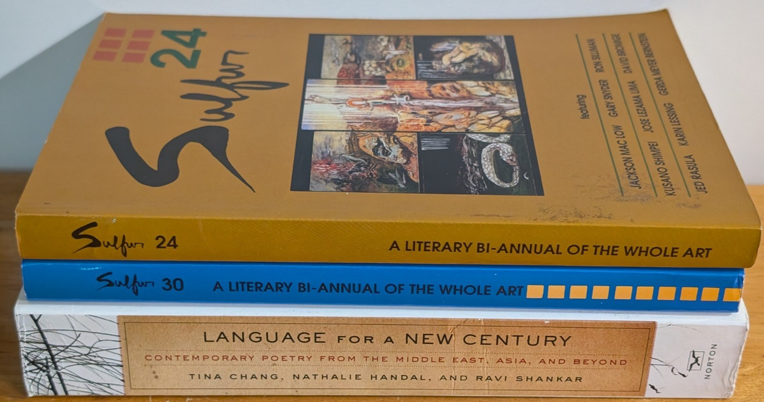 Lot of 3 Poetry Anthologies- Experimental and contemporary Language, Lot 176