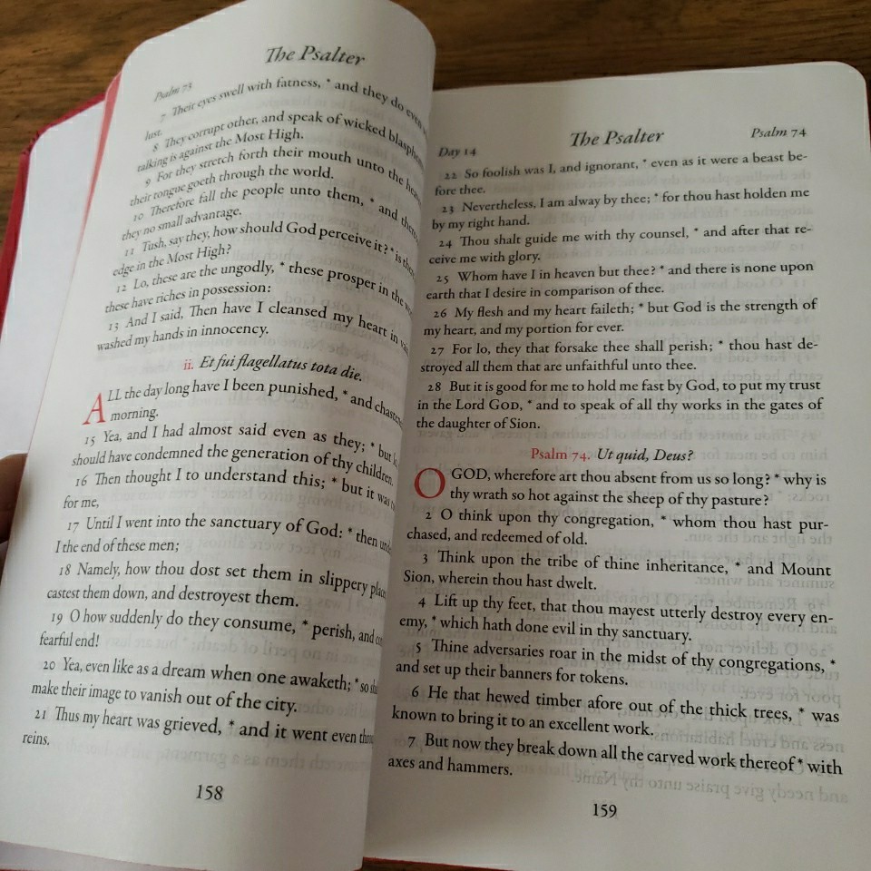 The Book of Common Prayer Red Faux Leather 2019 EXCELLENT Orthodox Catholic