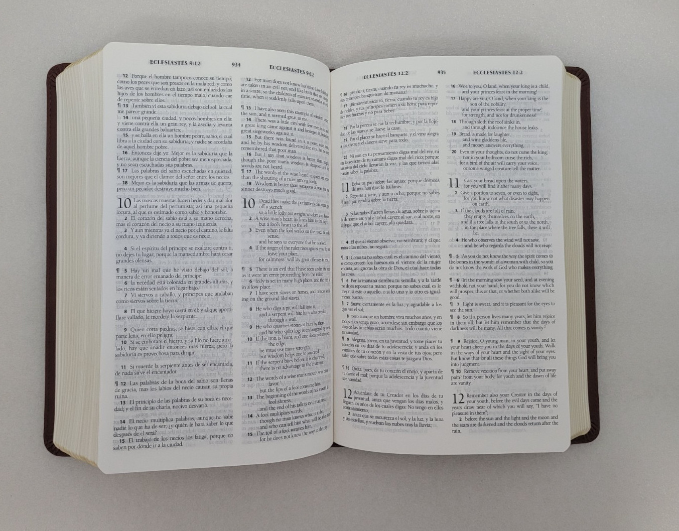 RVR / ESV *Bilingual* English/Spanish Bible La Santa Biblia / The Holy Bible