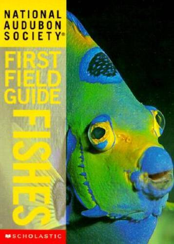 Fishes (National Audubon Society First Field Guides) – Paperback – GOOD