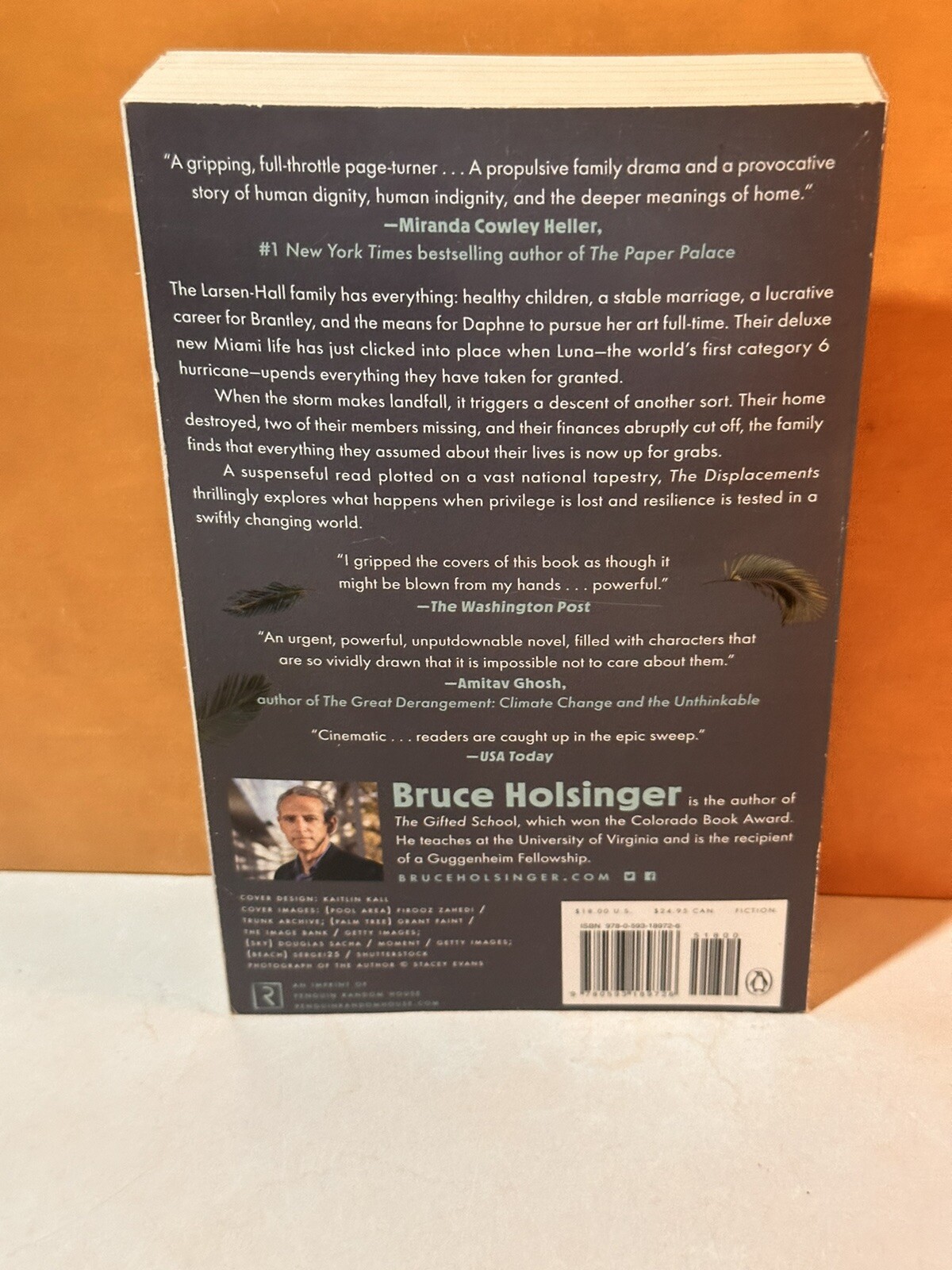 The Displacements : A Novel Hardcover Bruce Holsinger