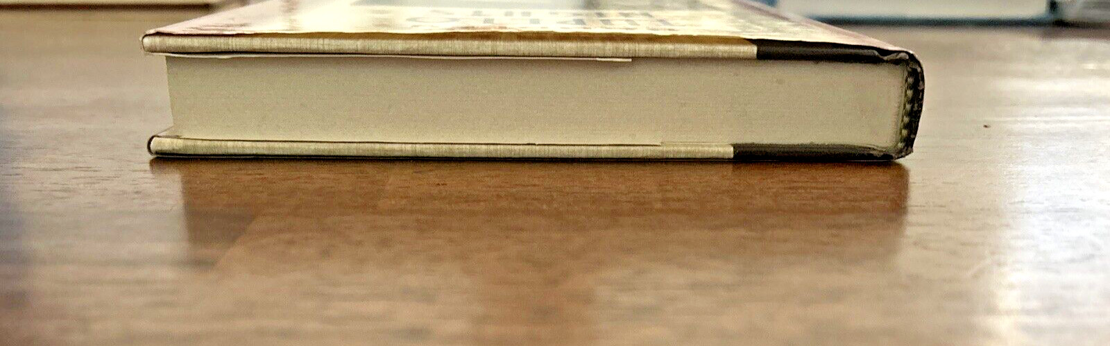 Tupelo Nights, by John Ed Bradley, HC/DJ, 1988 STATED FIRST EDITION!
