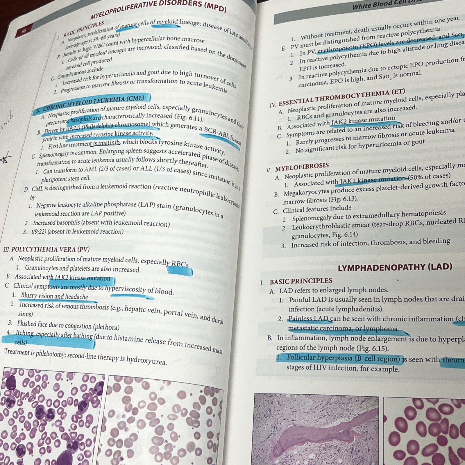 Fundamentals of Pathology by Husain A. Sattar (Trade Paperback)