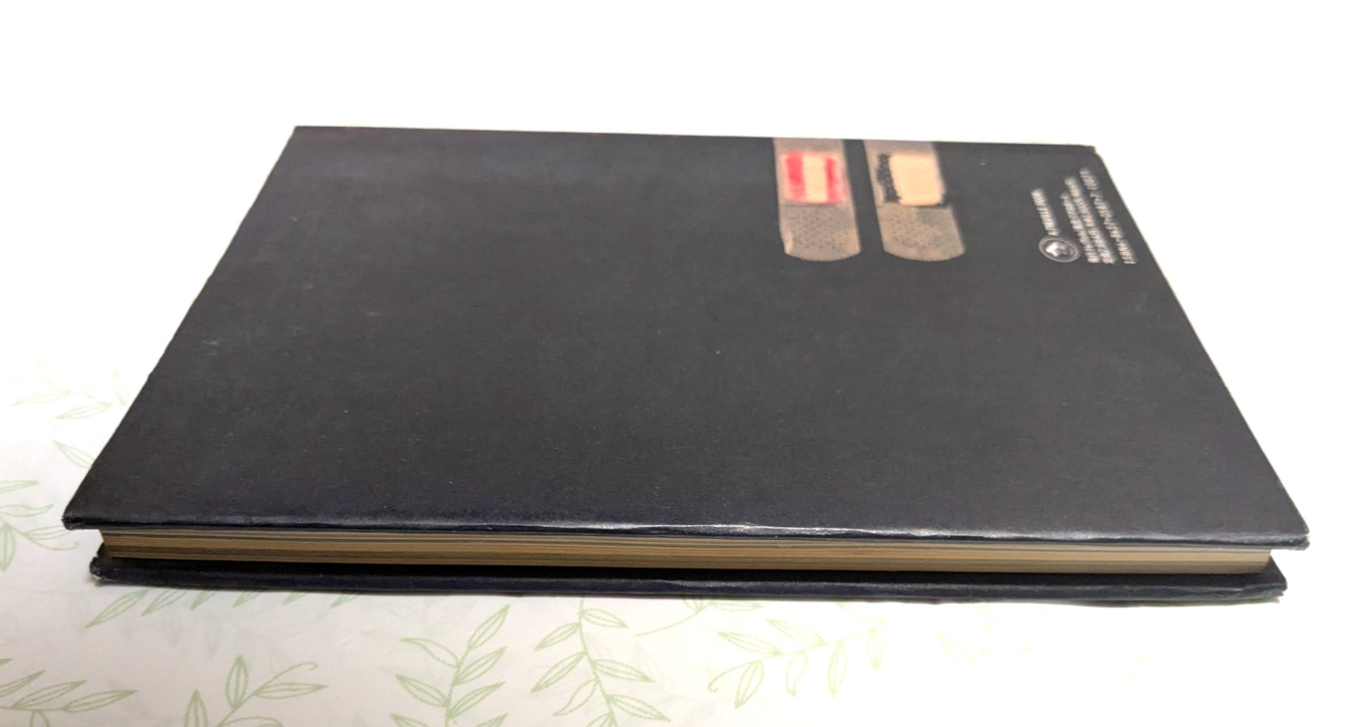 David Lynch: Painting & Drawings Collection of Paintings Treville 1991 Used