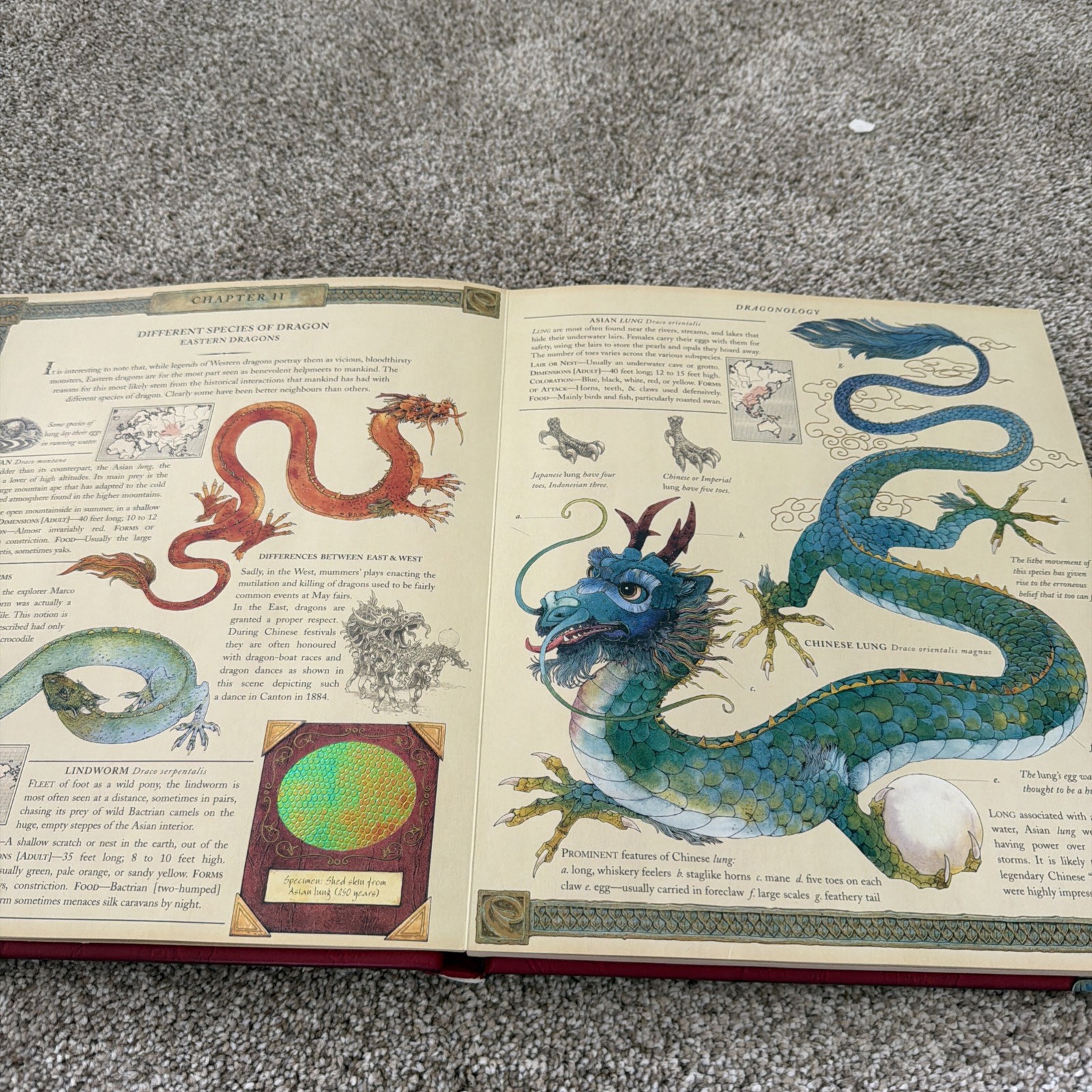 Ologies Ser.: Dragonology : The Complete Book of Dragons by Ernest Drake (2003,