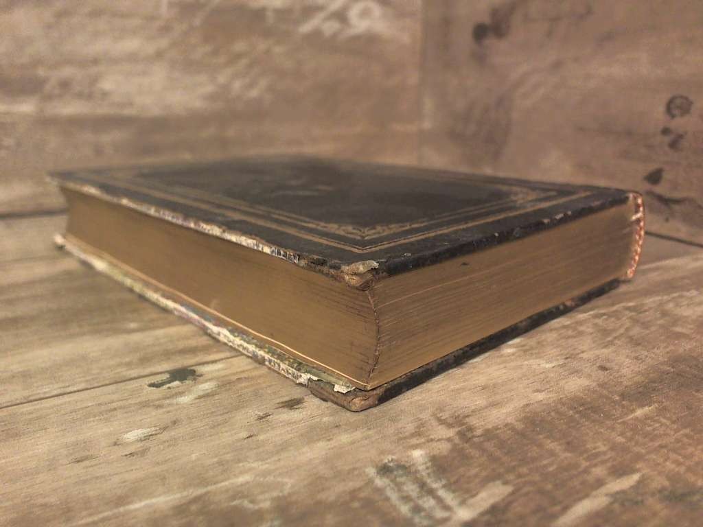 The Prelude, or Growth of a Poet’s Mind 1850 by William Wordsworth D. Appleton &