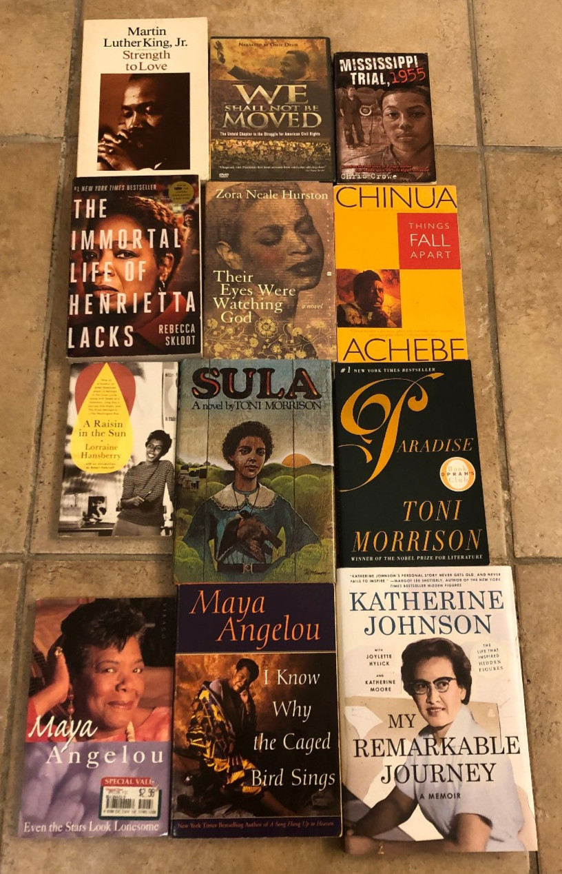 Lot of 11 African American Studies Books + DVD We Shall not be Moved NIP~ MLK ++