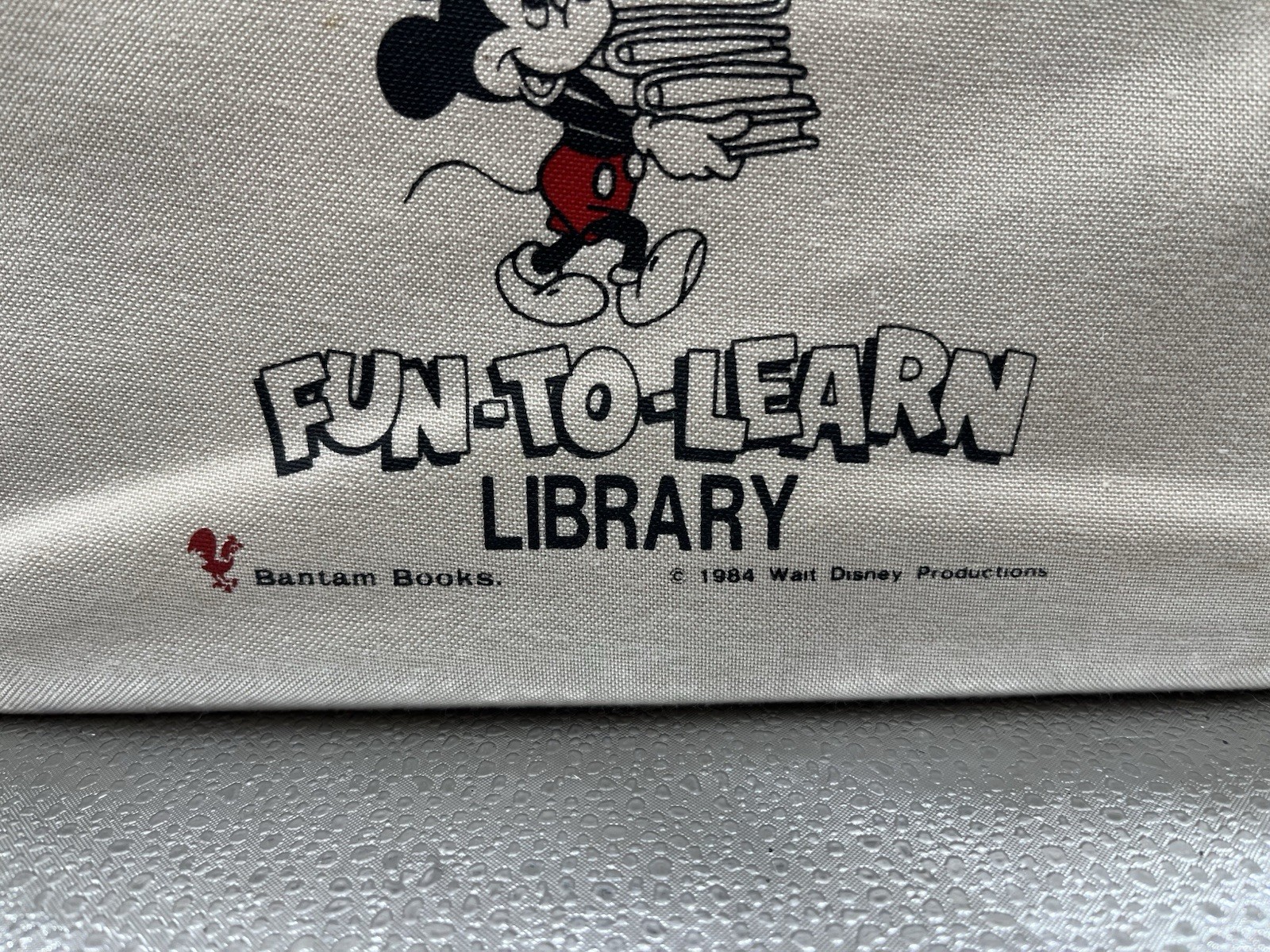 Walt Disney Fun-To-Learn Library 1-19 Complete Set Bantam Books Hardcover + Bag