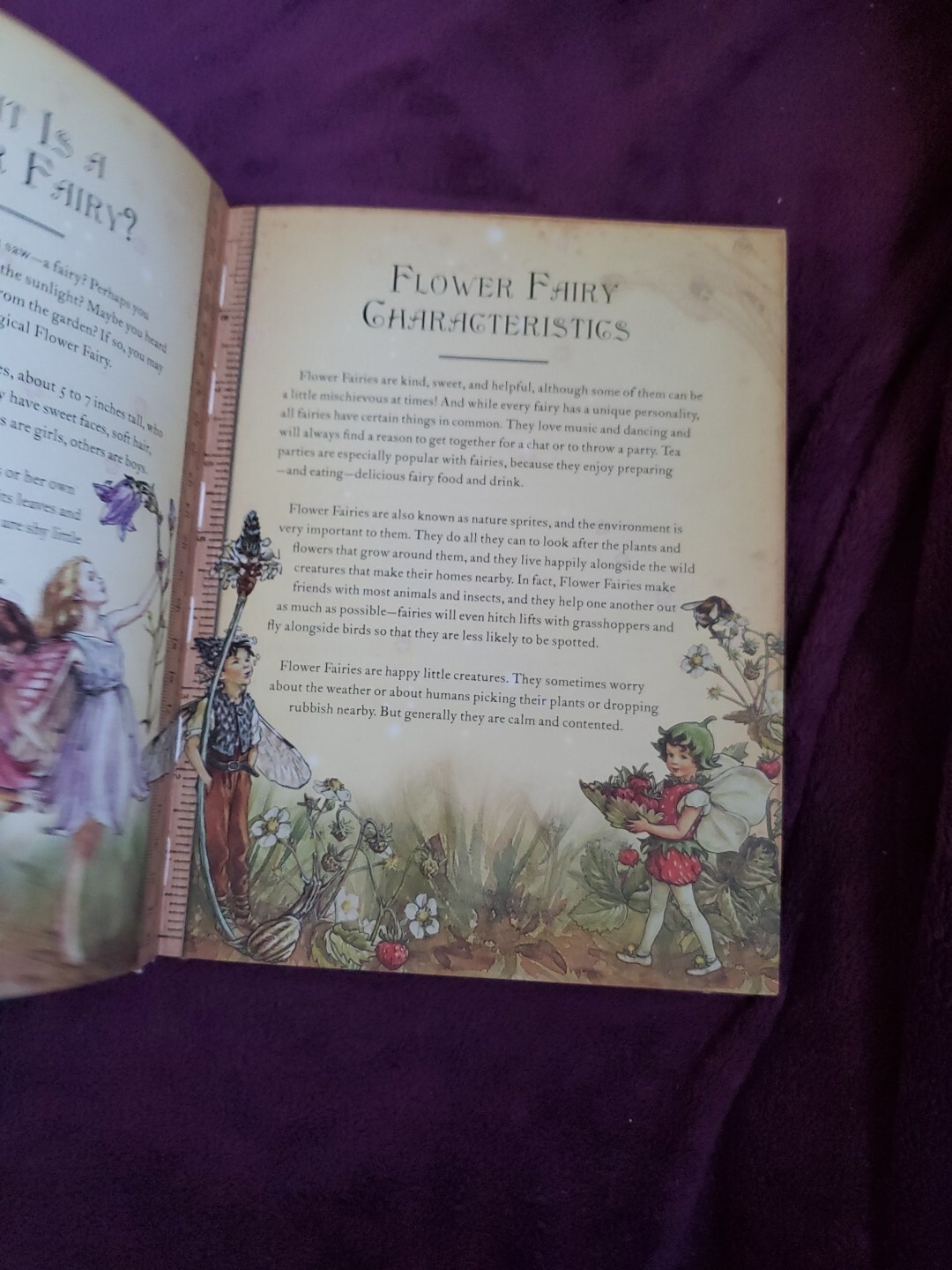The Girls‘ Book of Flower Fairies (HC, 2008) Frederick Warne (Crafts & Stories)