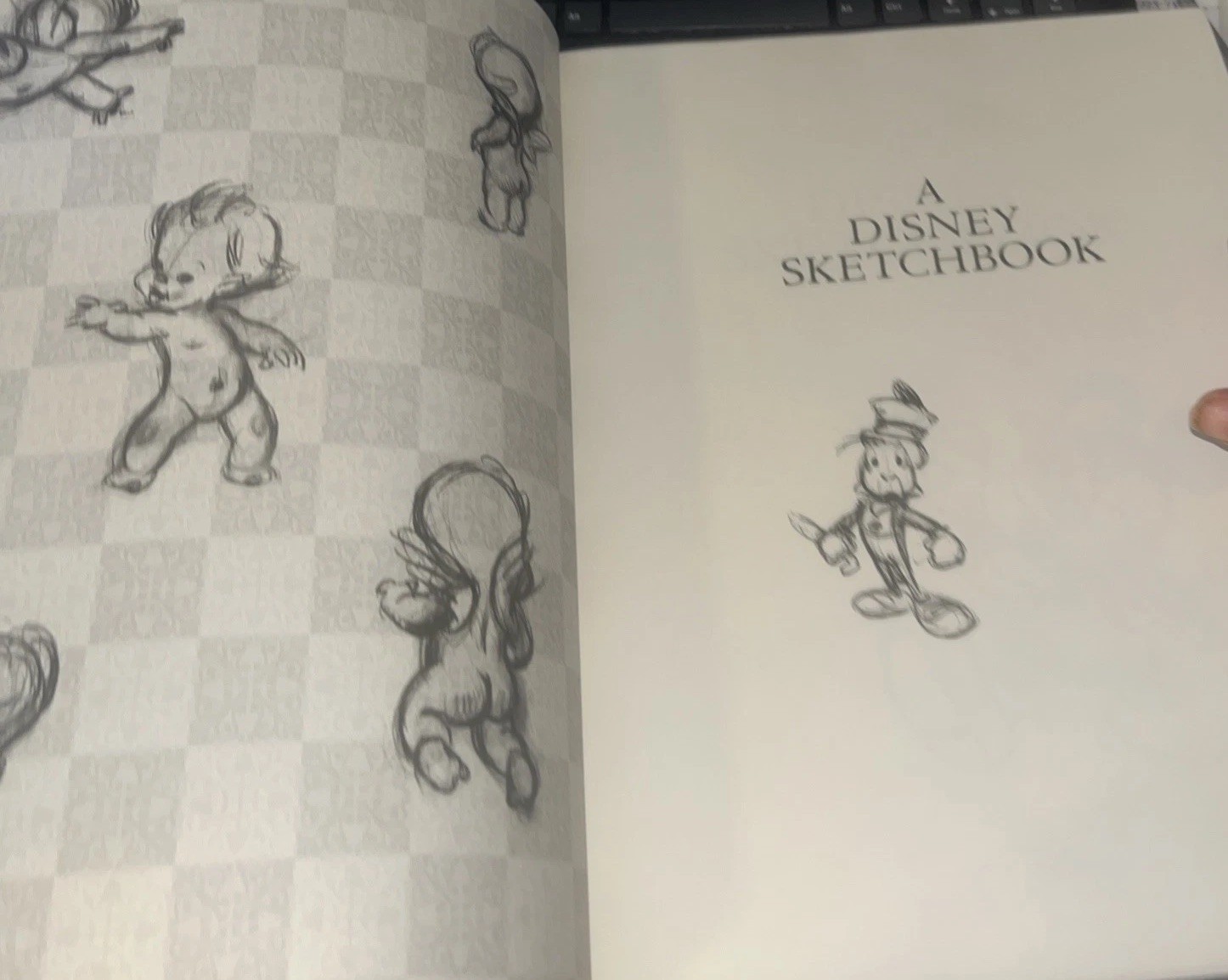 A Disney Sketchbook (Disney Editions Deluxe) Animation Book Ken Shue Hardcover