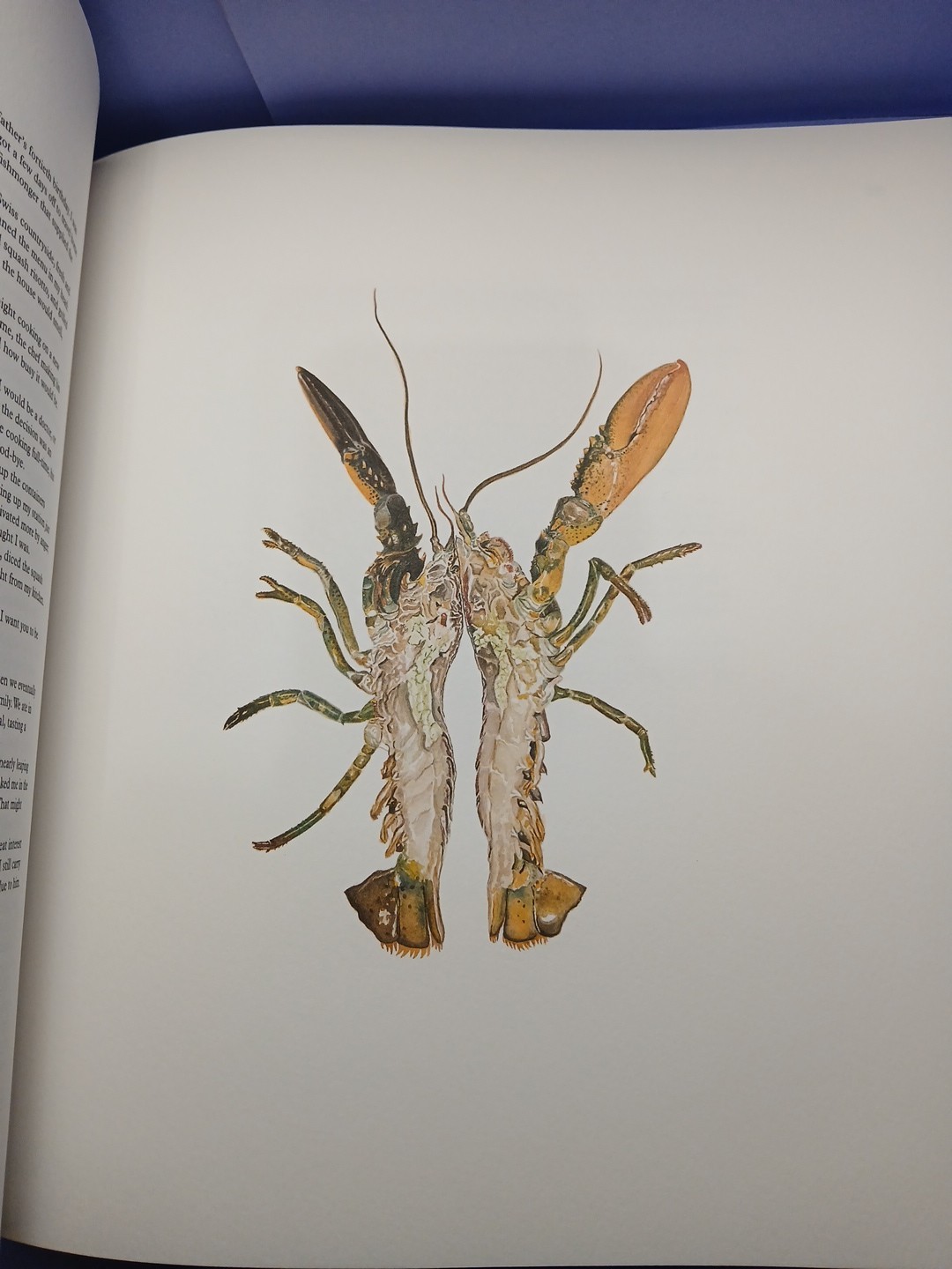 The Next Chapter Stories & Watercolors by Daniel Humm SIGNED With Will Guidara