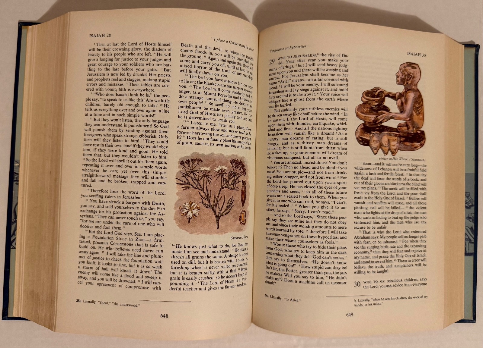 The Living Bible Holman Illustrated Edition -Paraphrased 1973 Tyndale Color pics