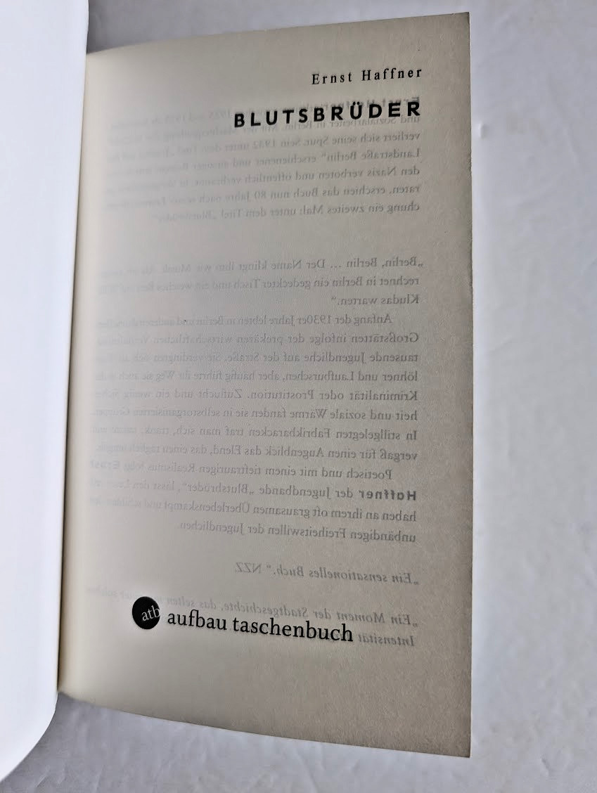 Ernst Haffner – Blutsbruder – Aufbau Taschenbuch, PB, GC+