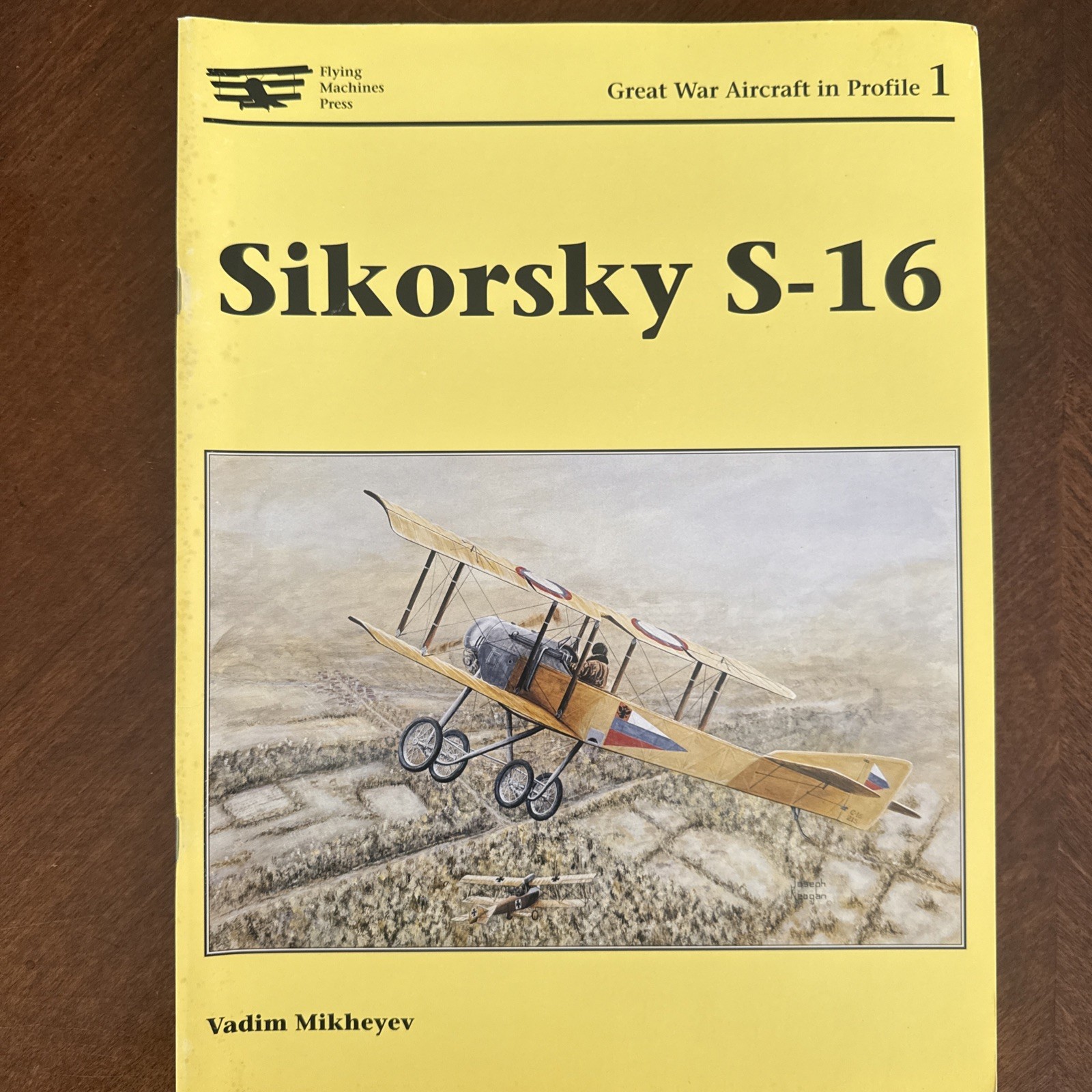 Pfalz Aircraft Salmson Bradenberg Sikorsky Great War Aircraft In Profile 4 books