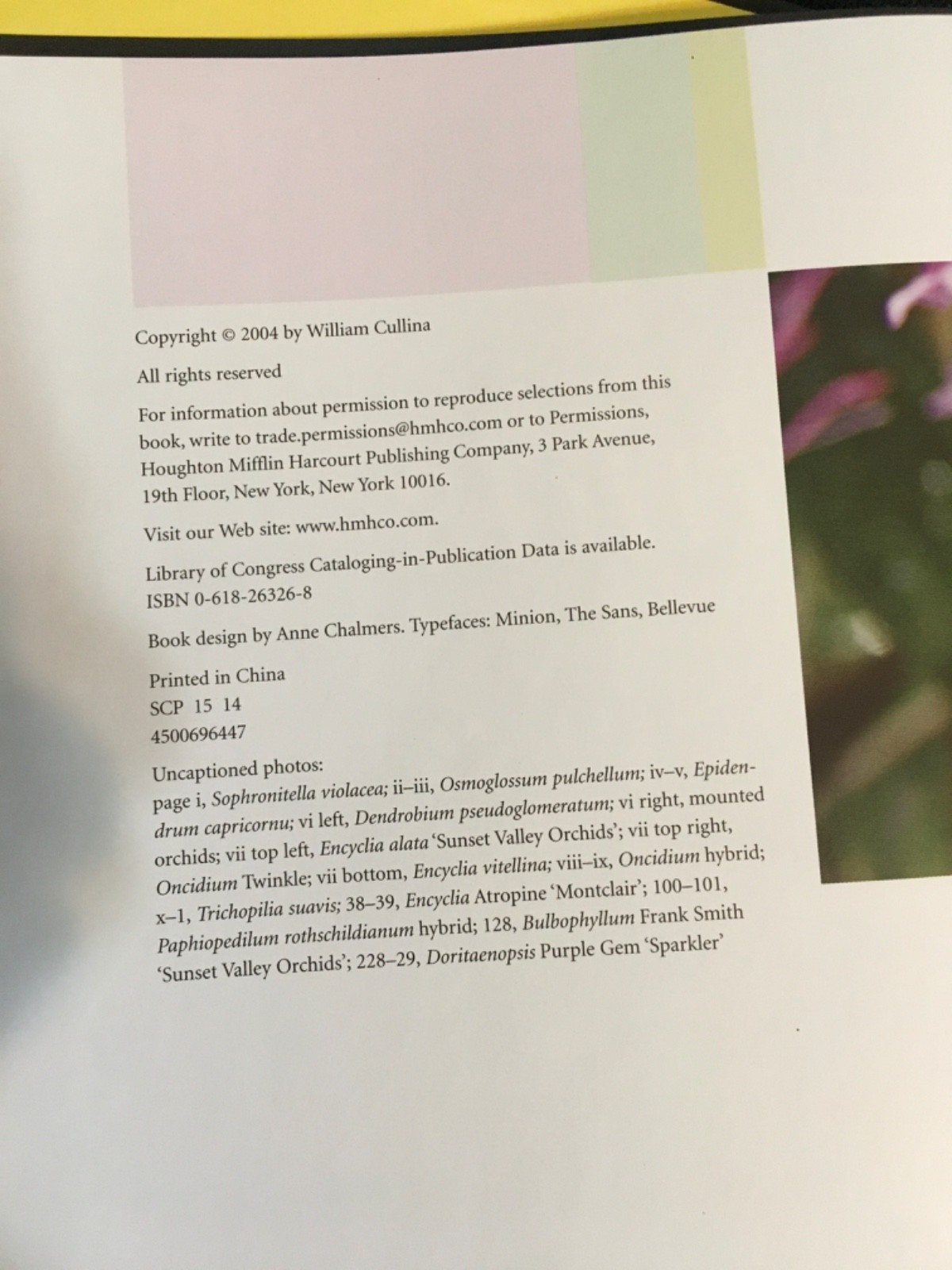 Lot UNDERSTANDING ORCHIDS Guide to Growing Exotic Flowers Plants CULLINA + LORE