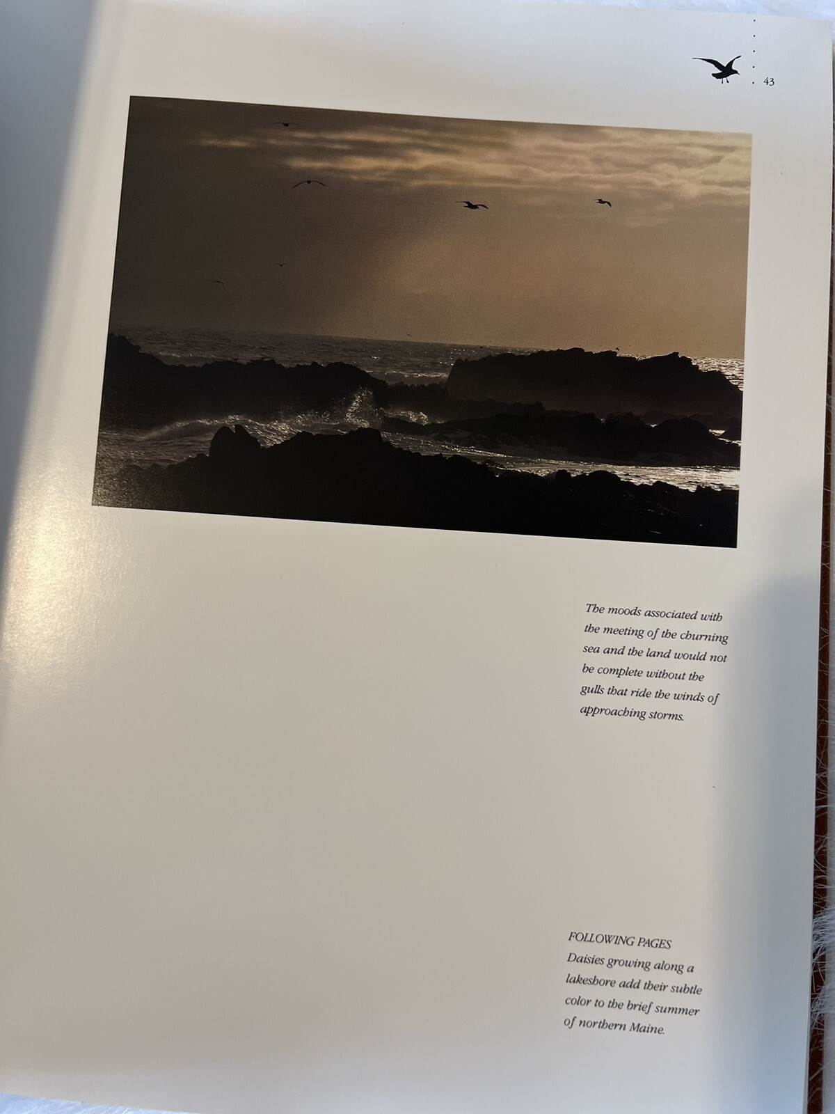 Rare -Special Edition 390/1000: Images of Nature – Signed by Thomas D. Mangelsen