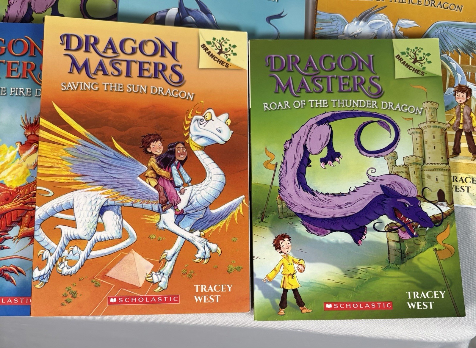 Dragon Masters Book Lot of 9 By Tracey West for Ages 6-8 – Different Adventures