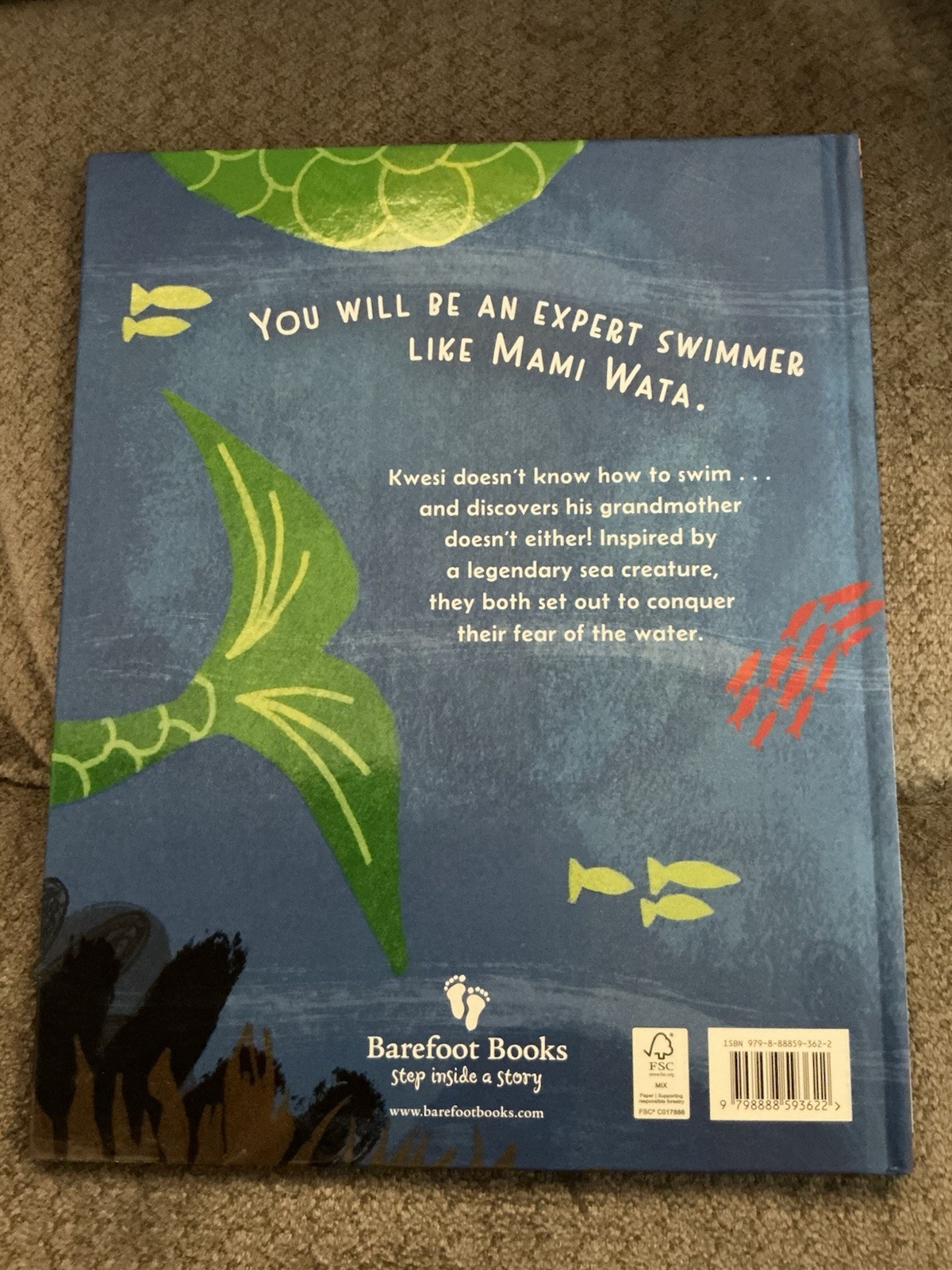 Kwesi And Nana Ruby Learn To Swim, Kobina Commeh – Hardcover