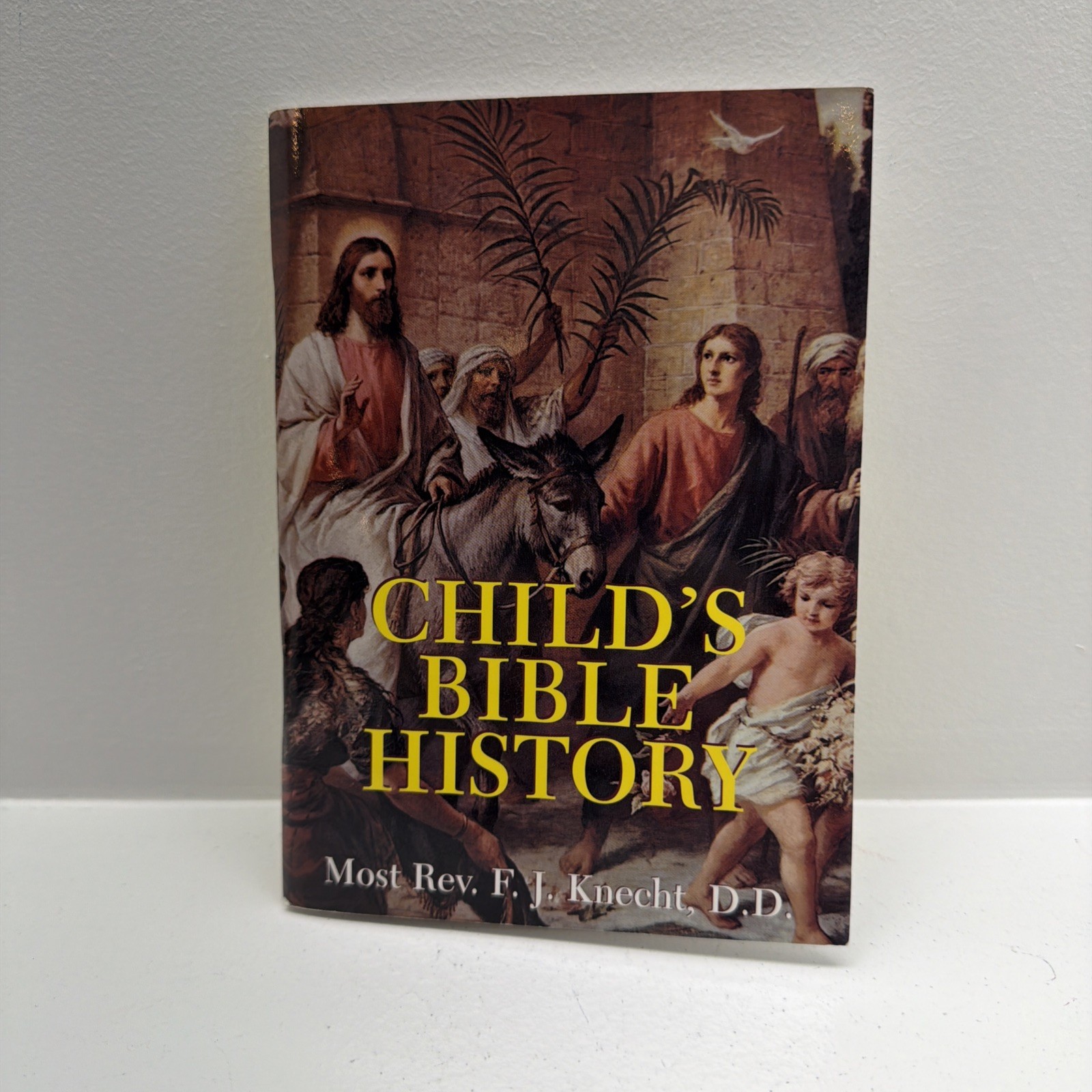 Child’s Bible History, by the Most Rev. F J Knecht, D. D 1973