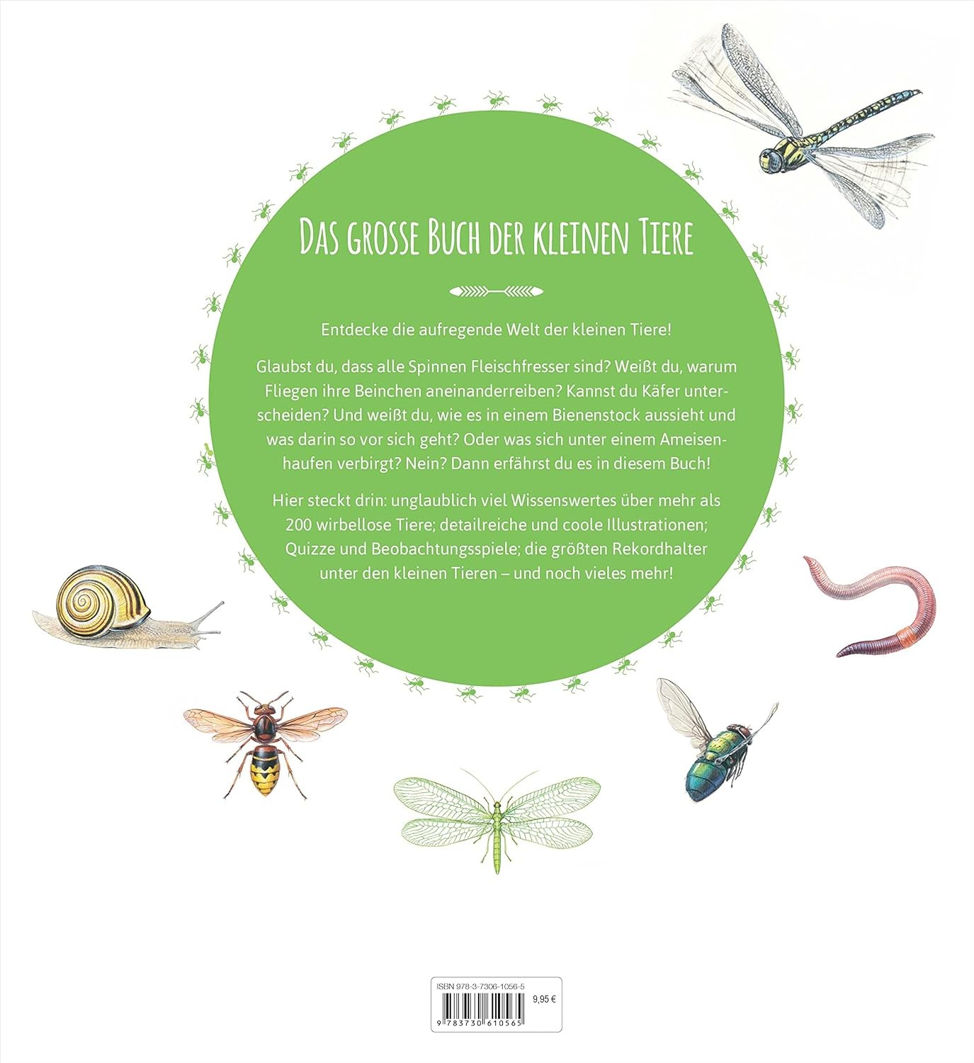 Nathalie Tordjm Das große Buch der kleinen Tiere: Wunders (Hardback) (UK IMPORT)