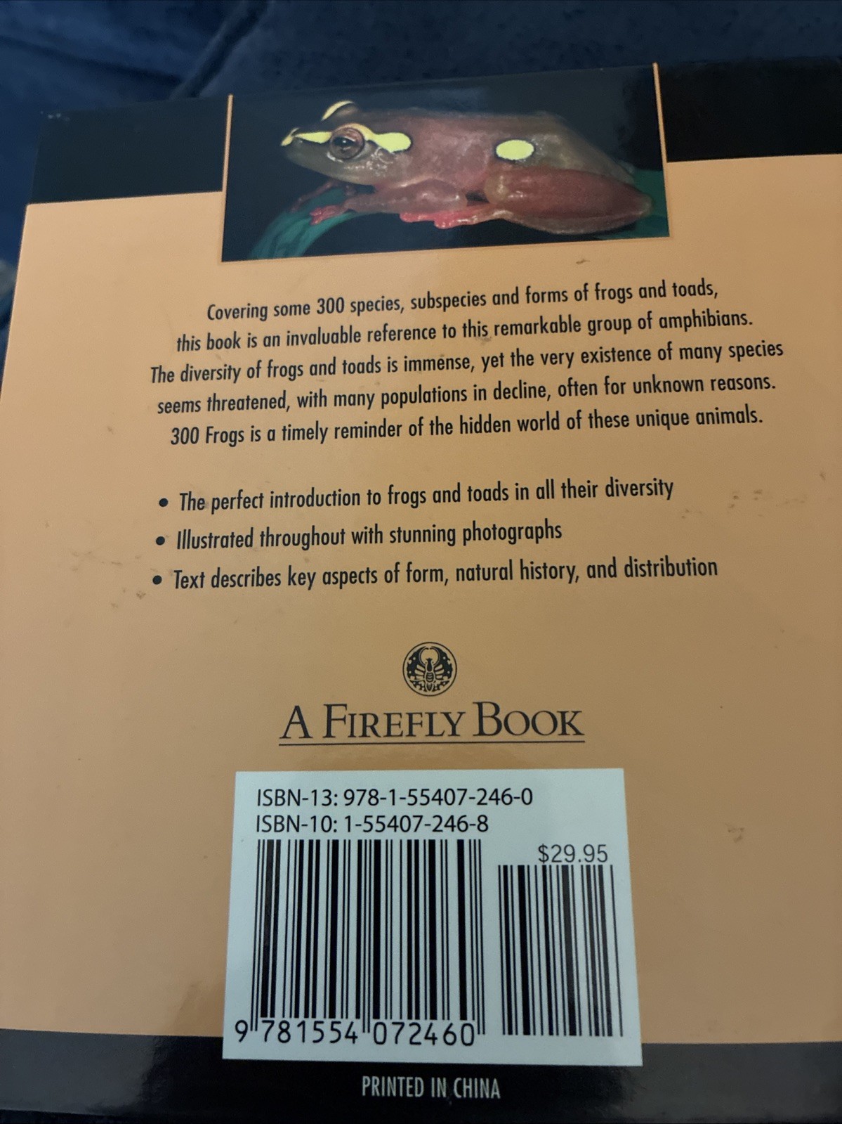 300 Frogs : A Visual Reference to Frogs and Toads from Around the World