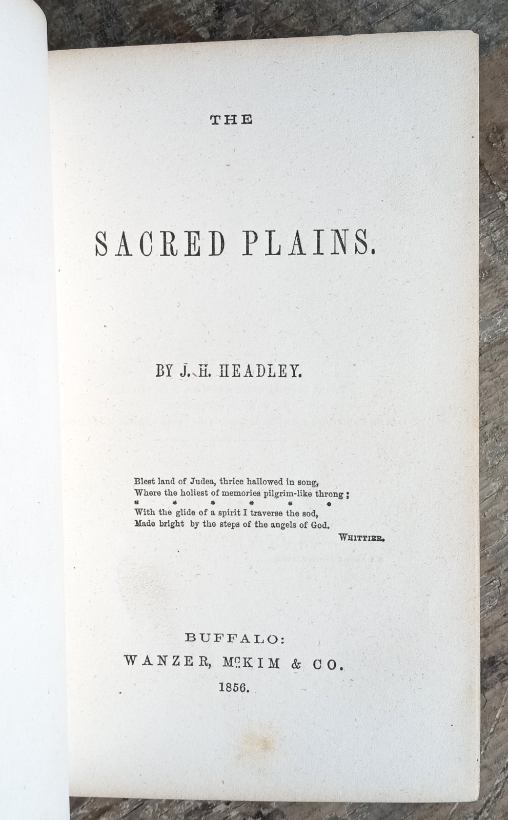 The Sacred Plains ~1856 Antique HC~ Headley Bible Geography Buffalo NY Illust